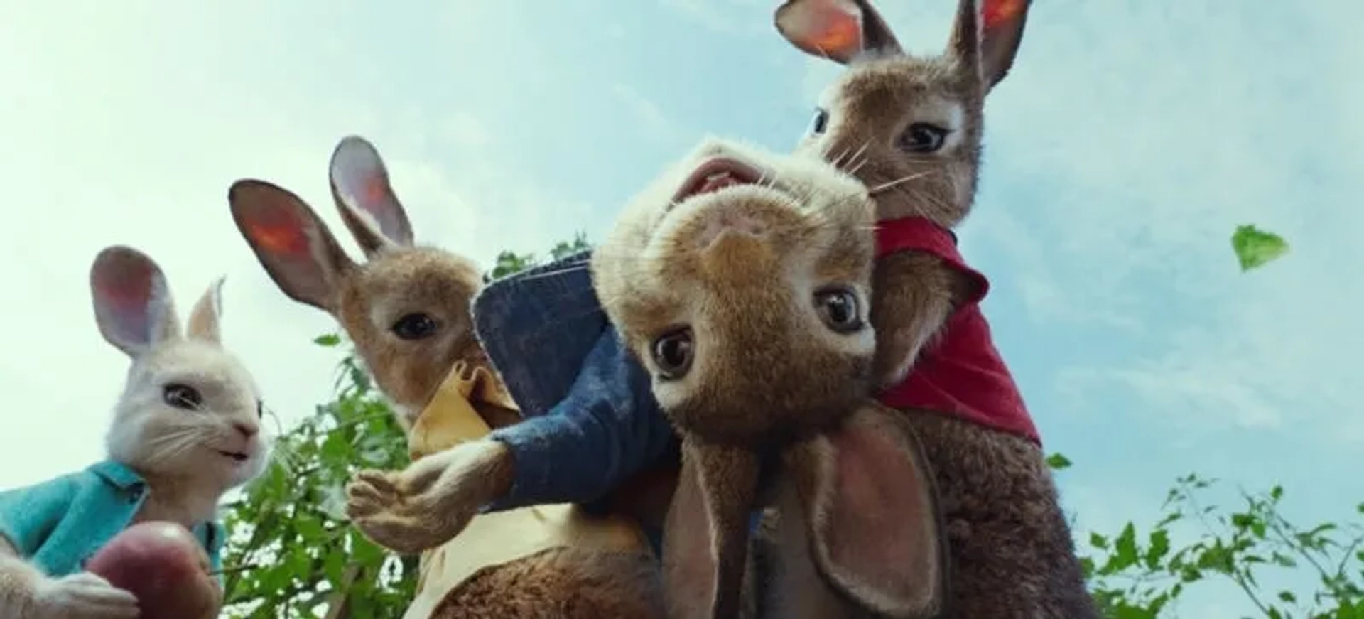 James Corden, Margot Robbie, Elizabeth Debicki, and Daisy Ridley in Peter Rabbit (2018)