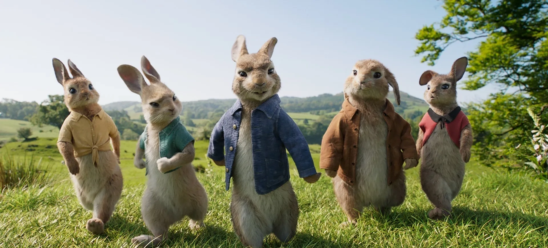 James Corden, Colin Moody, Margot Robbie, Elizabeth Debicki, and Daisy Ridley in Peter Rabbit (2018)