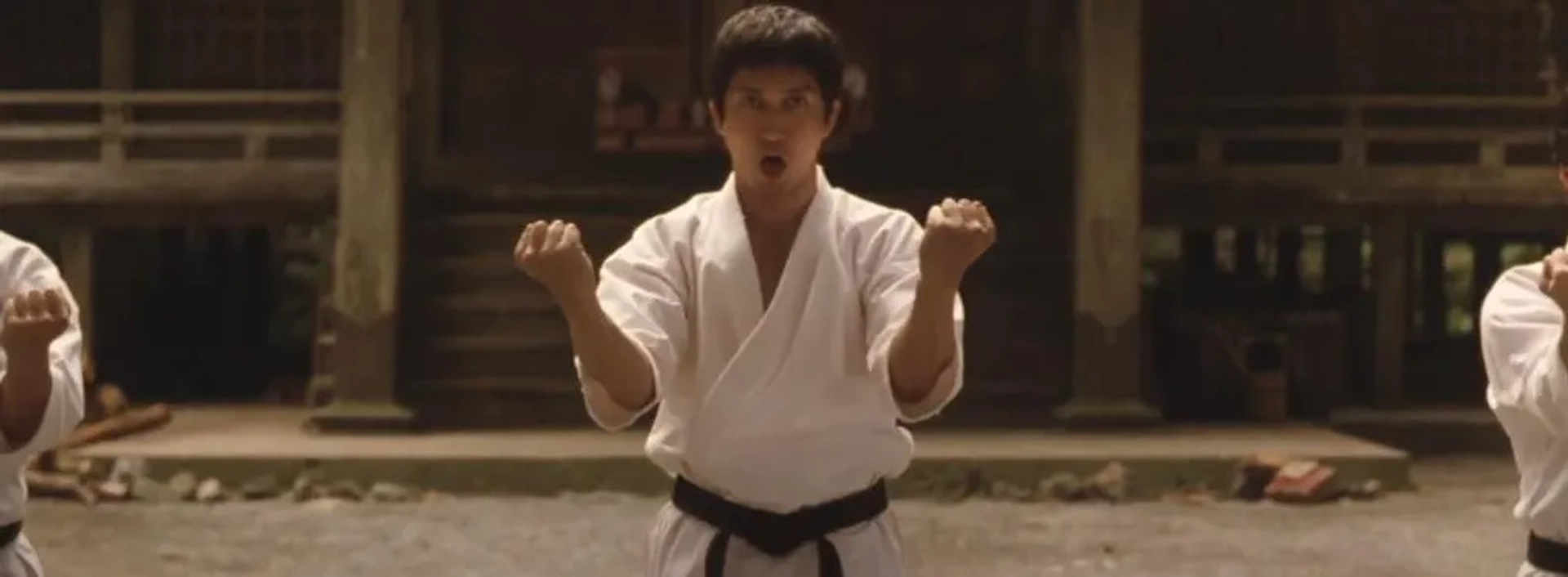 Black Belt (2007)