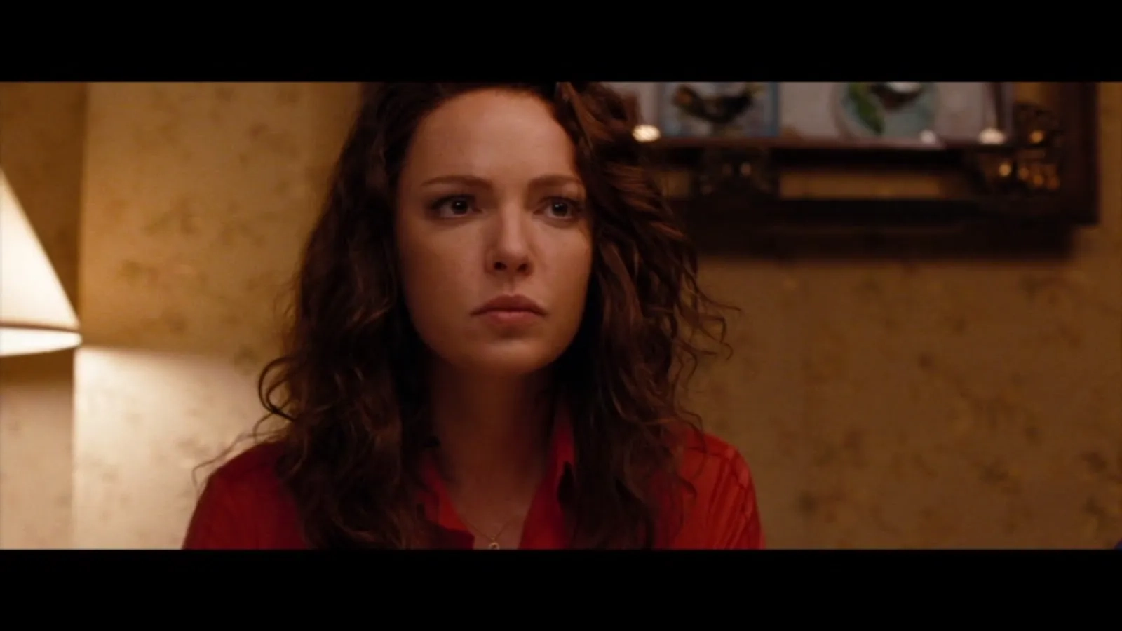 فیلم شماره یک: پول (One for the Money 2012)