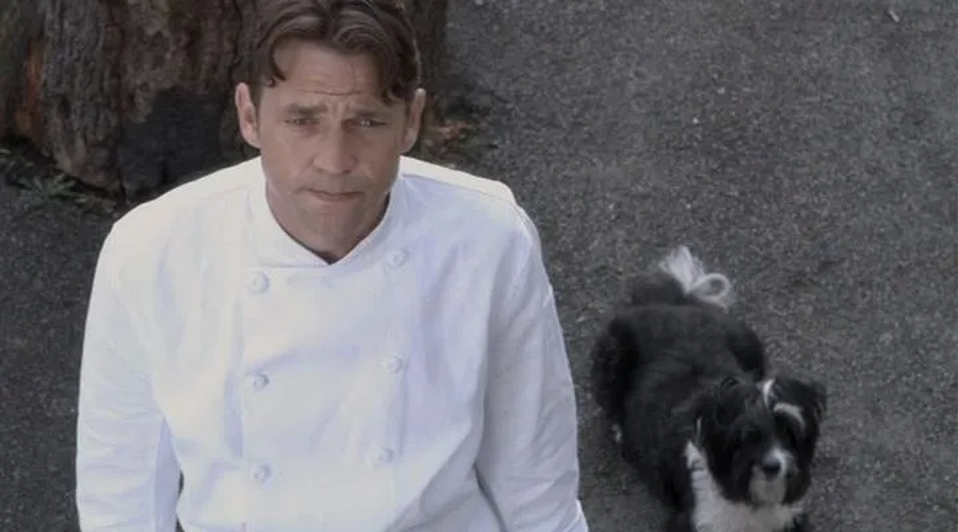 Dougray Scott in Love's Kitchen (2011)