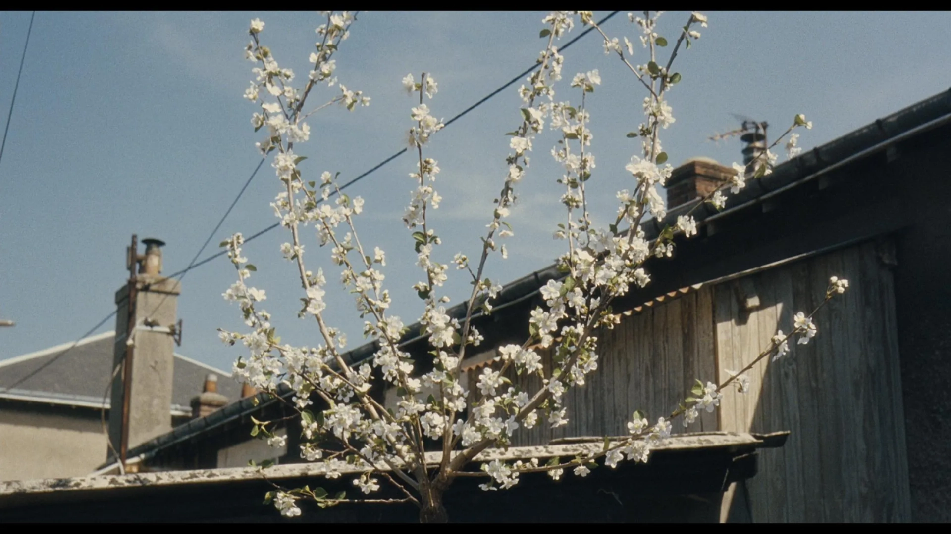 Le Havre (2011)