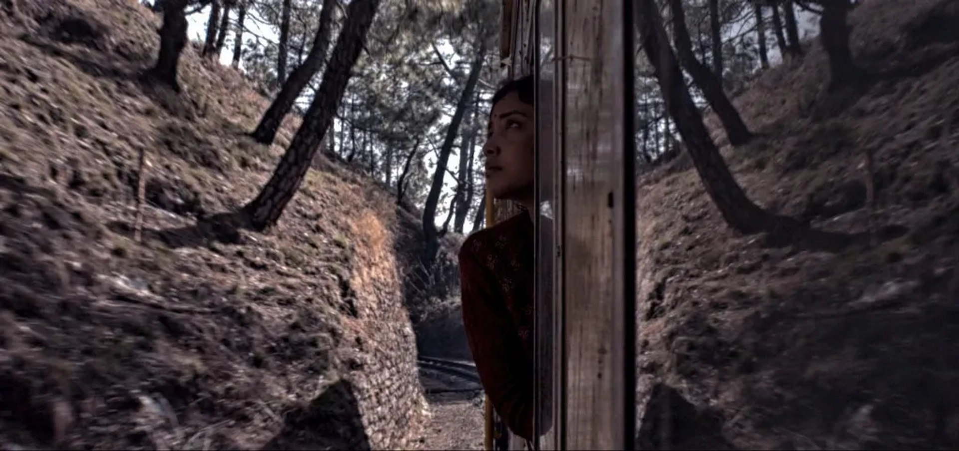Geetanjali Thapa in Liar's Dice (2013)