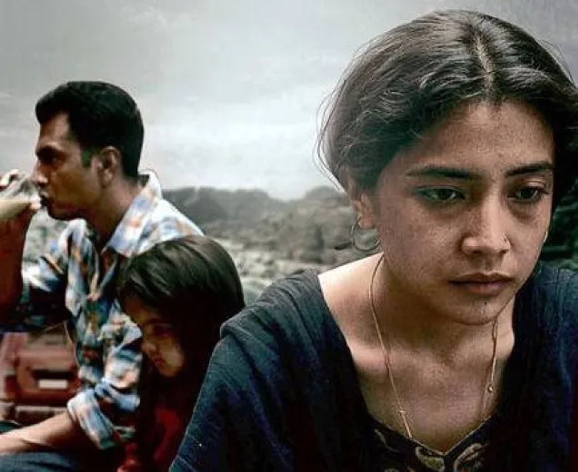 Liar's Dice (2013)
