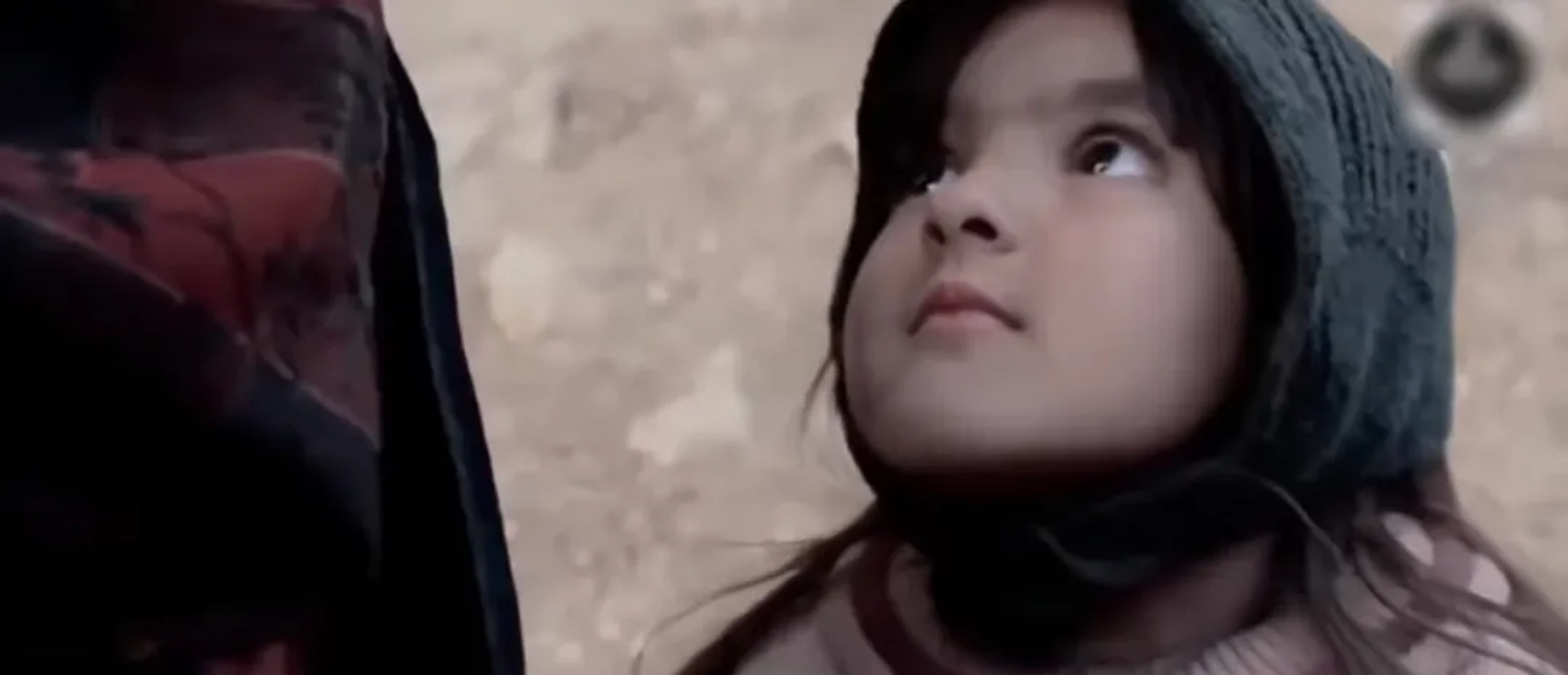 Liar's Dice (2013)
