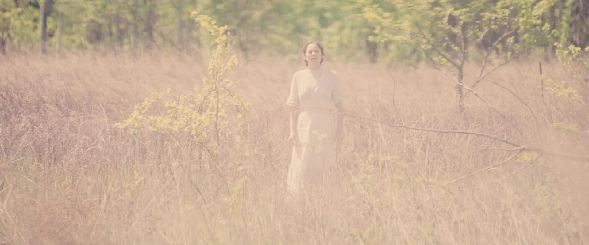 Marion Cotillard in The Immigrant (2013)