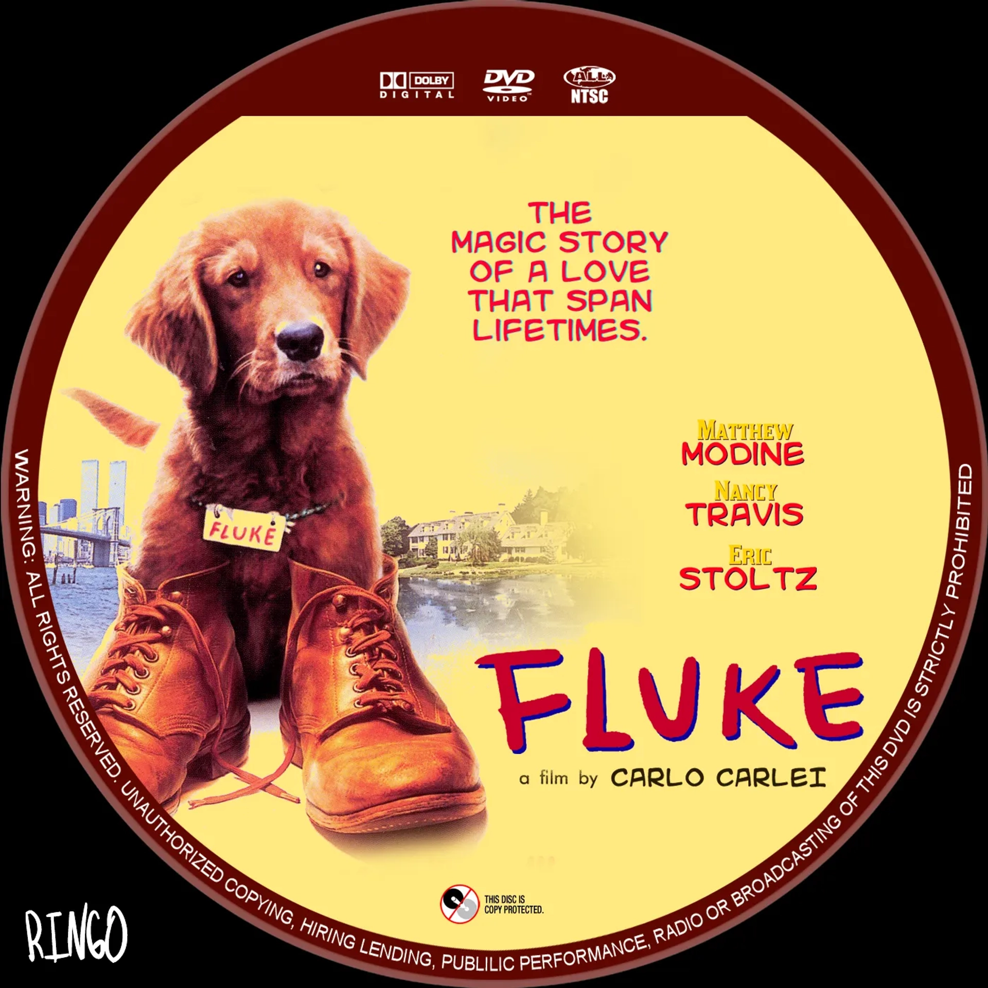 Fluke (1995)