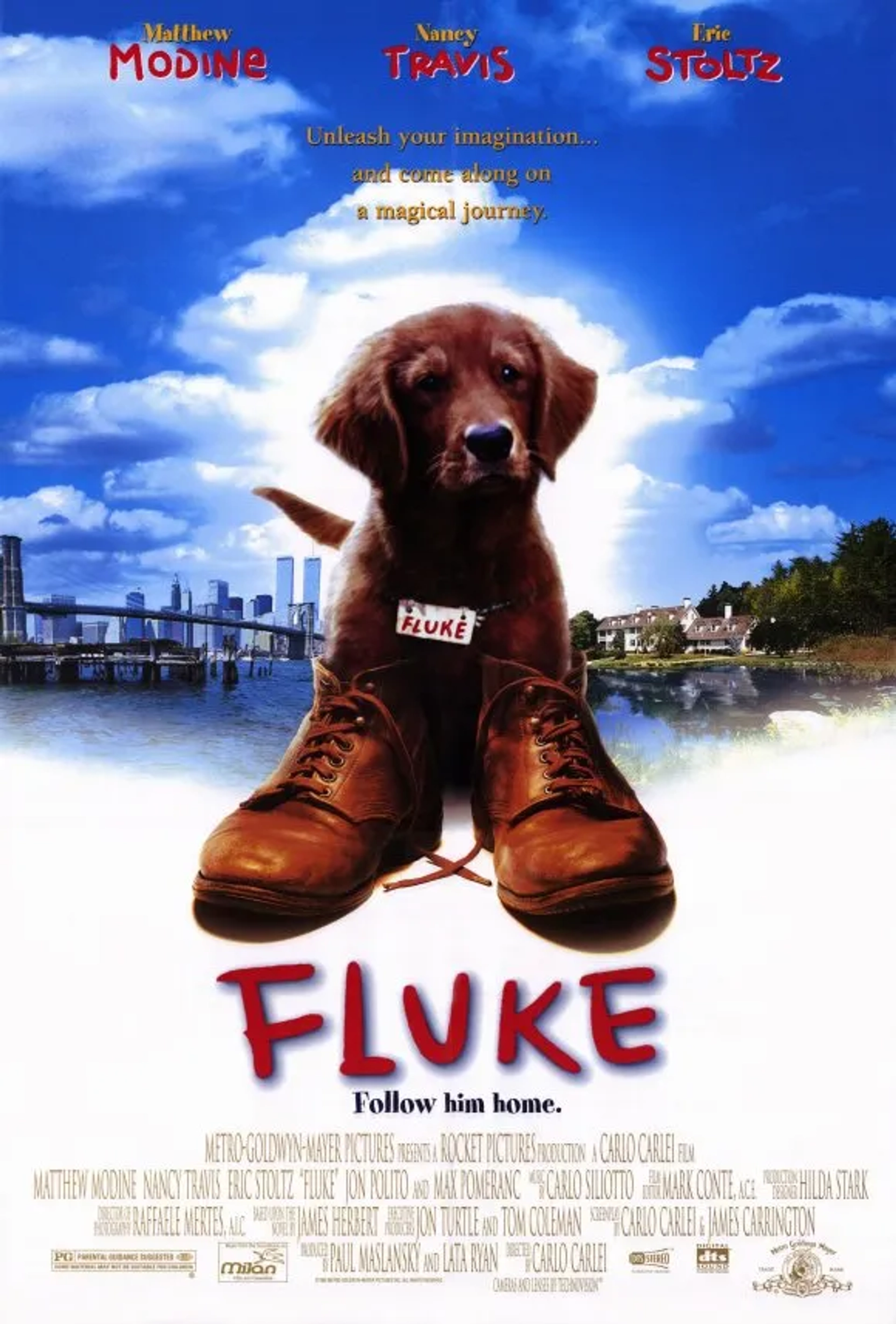 Fluke (1995)