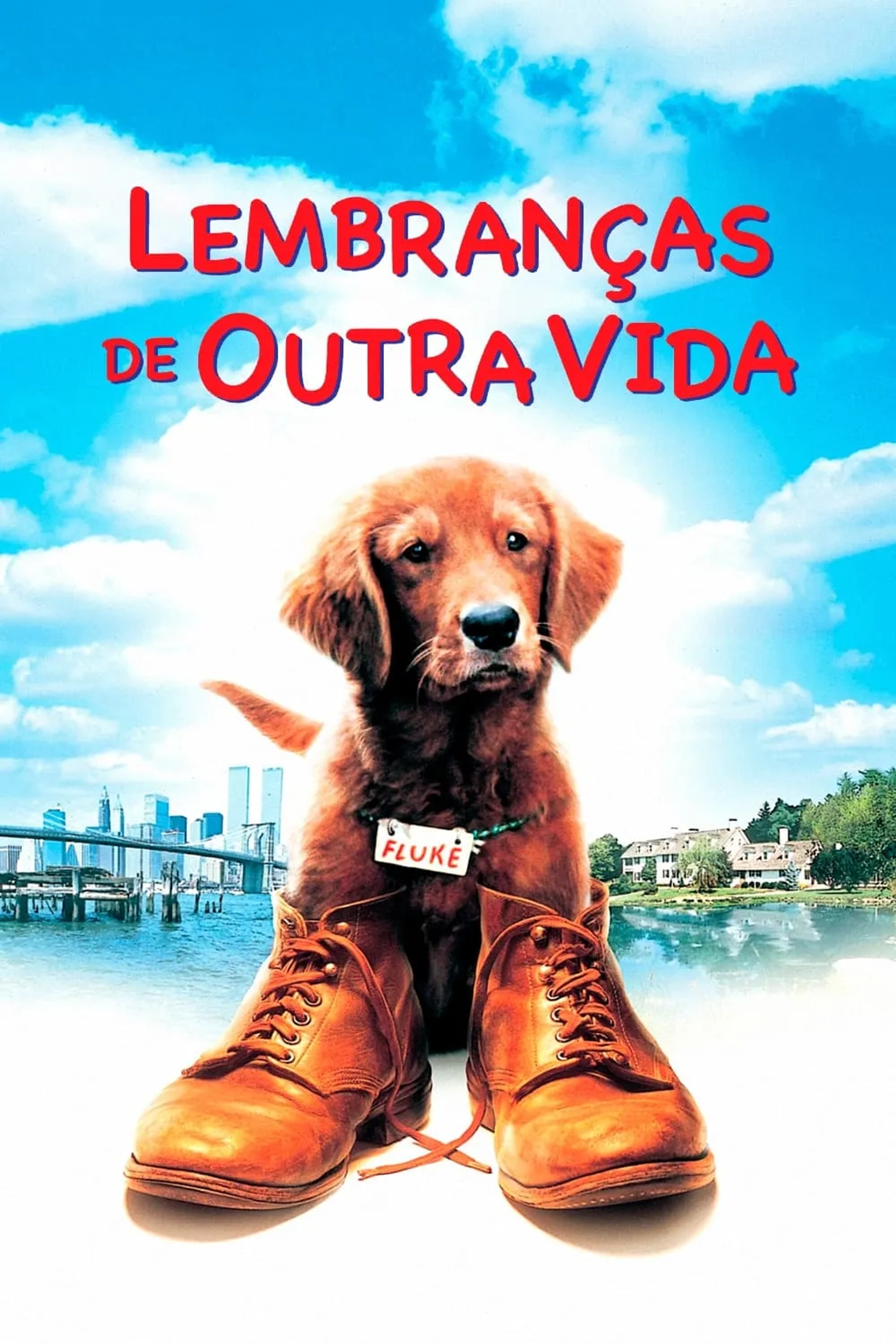 Fluke (1995)