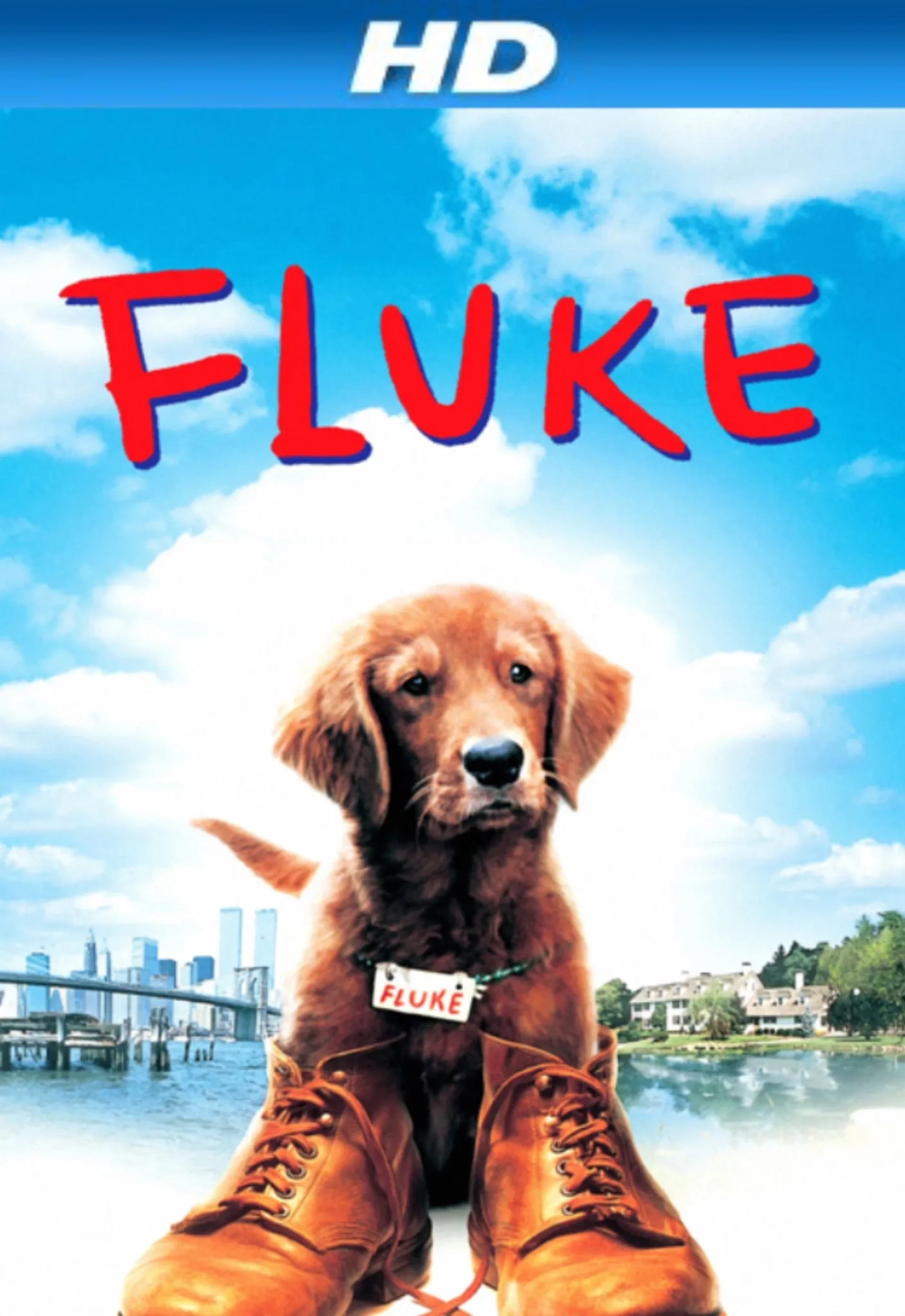 Fluke (1995)