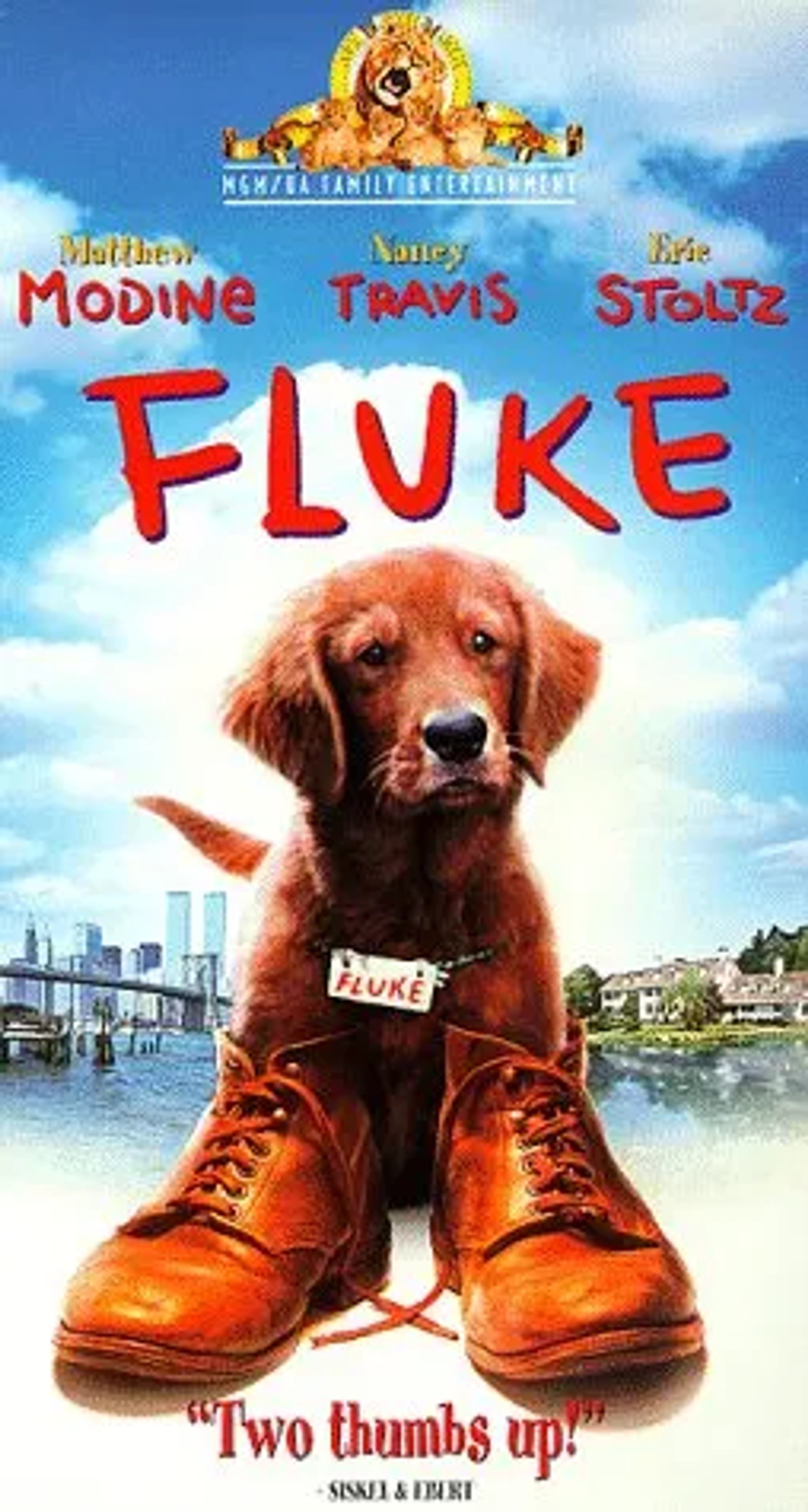 Fluke (1995)
