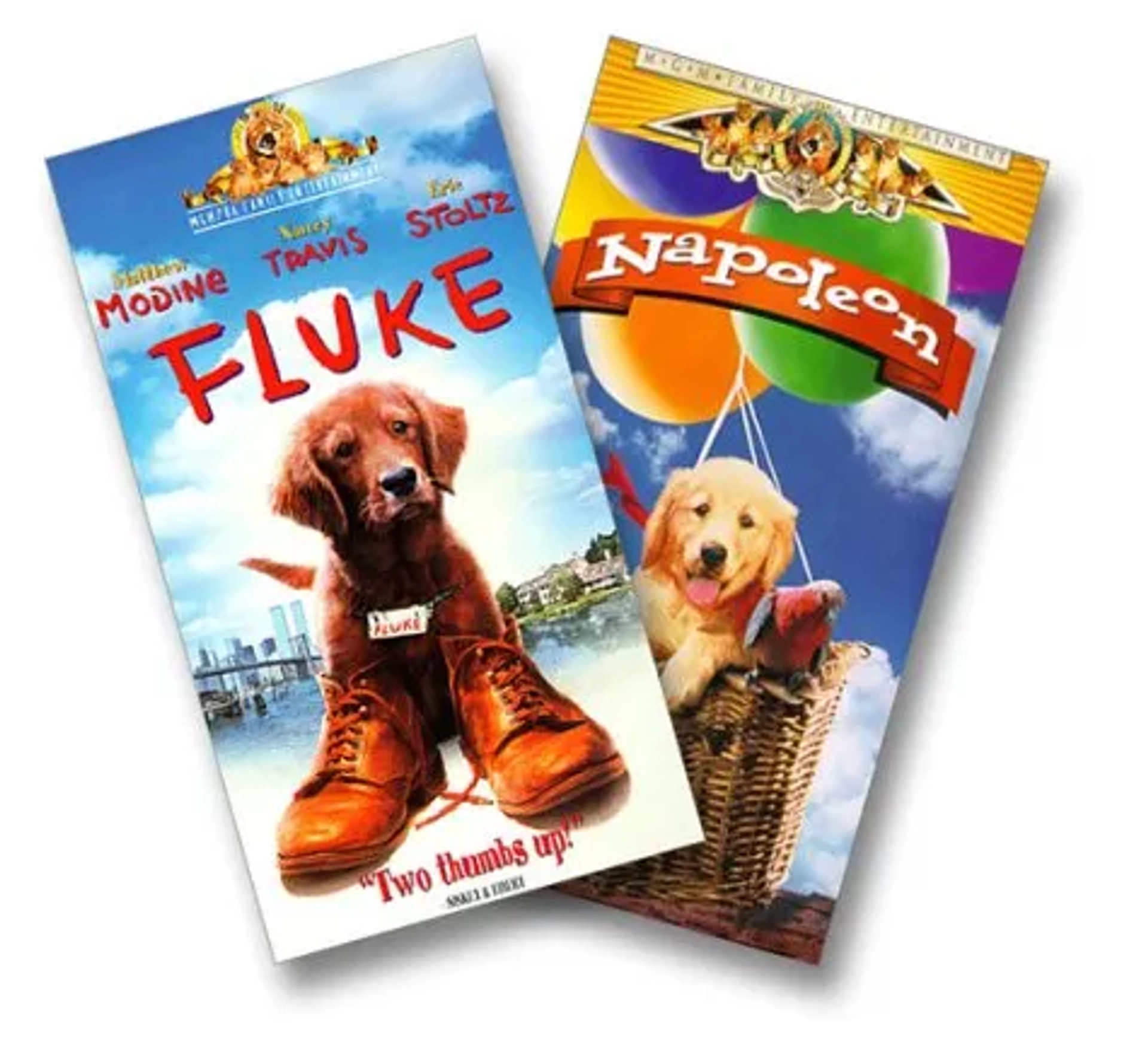 Fluke (1995)