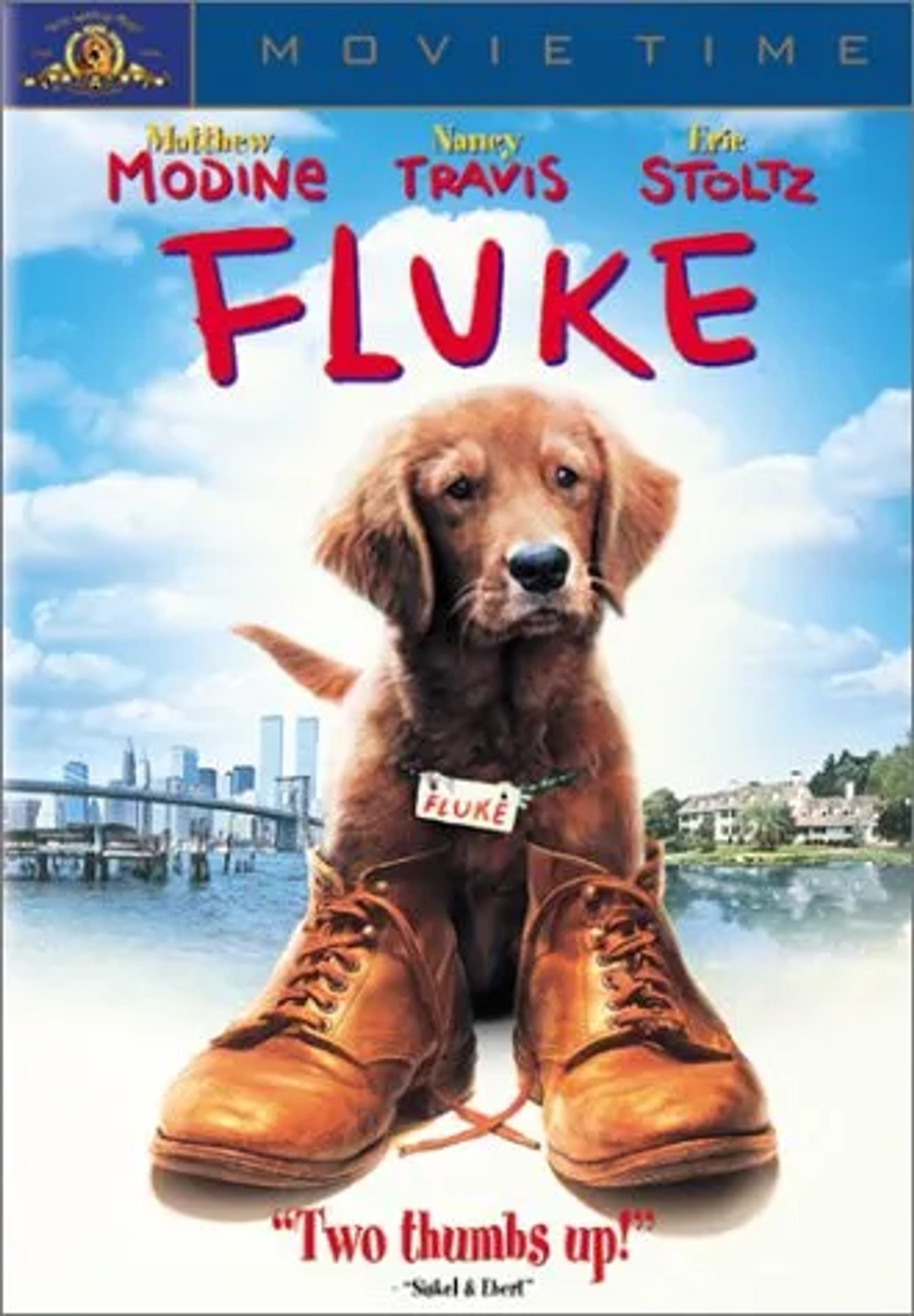 Fluke (1995)