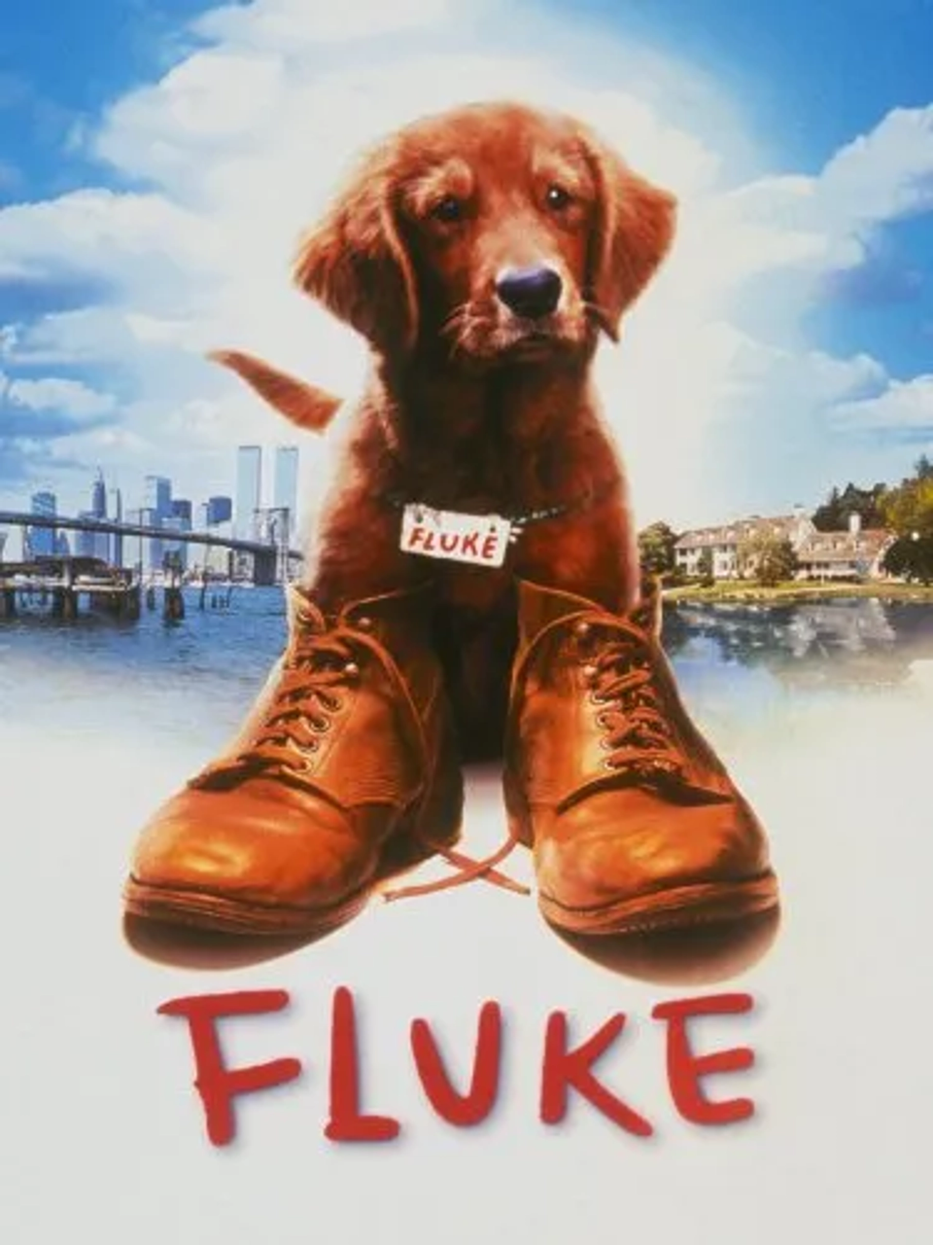 Fluke (1995)