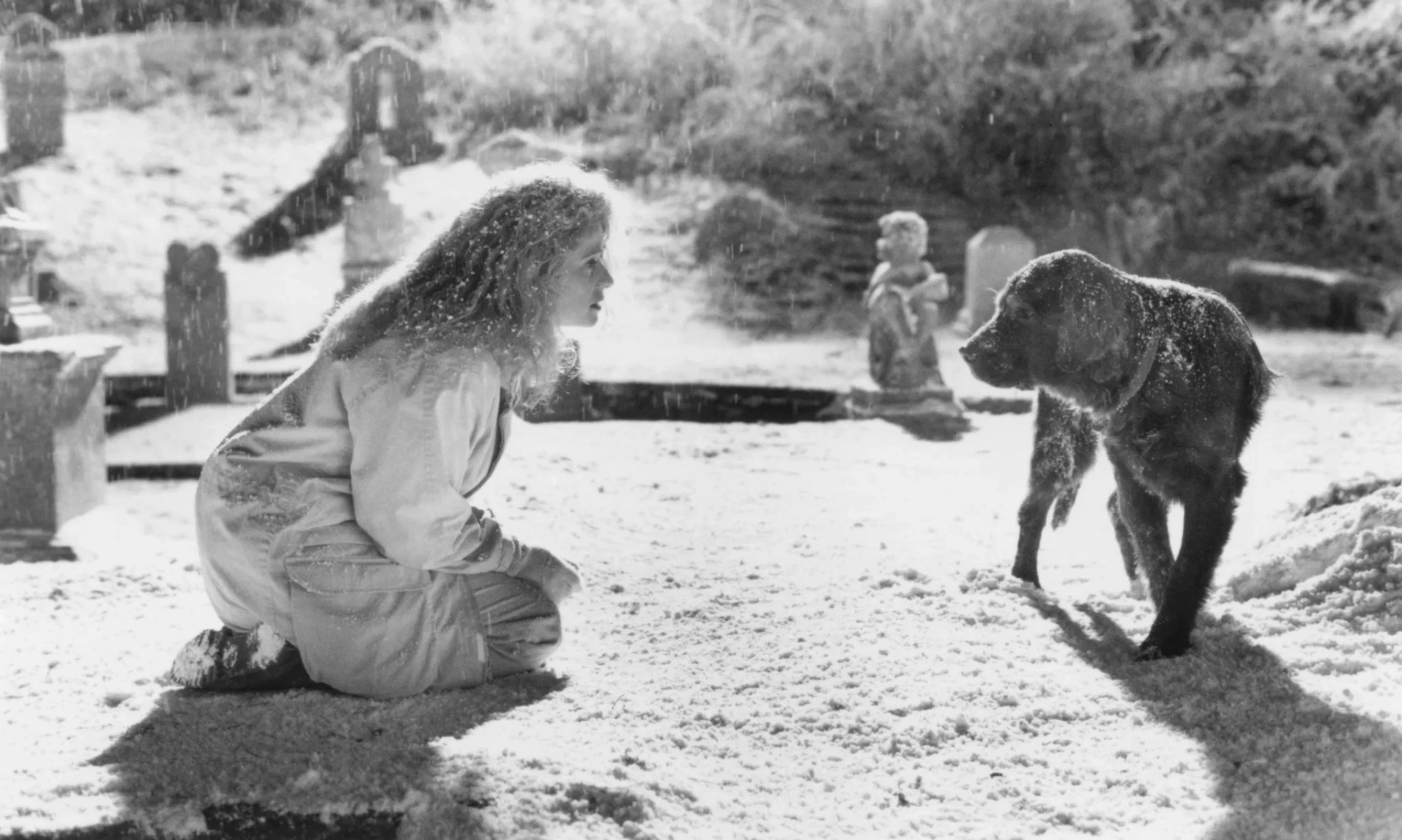 Nancy Travis in Fluke (1995)
