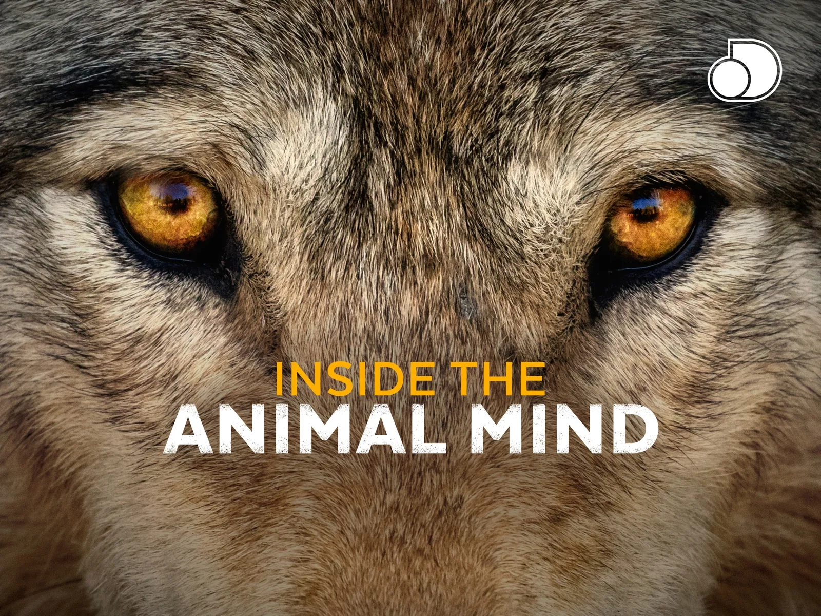 مستند کدام حیوان باهوش ترین است	Inside the Animal Mind (TV Mini Series 2014))