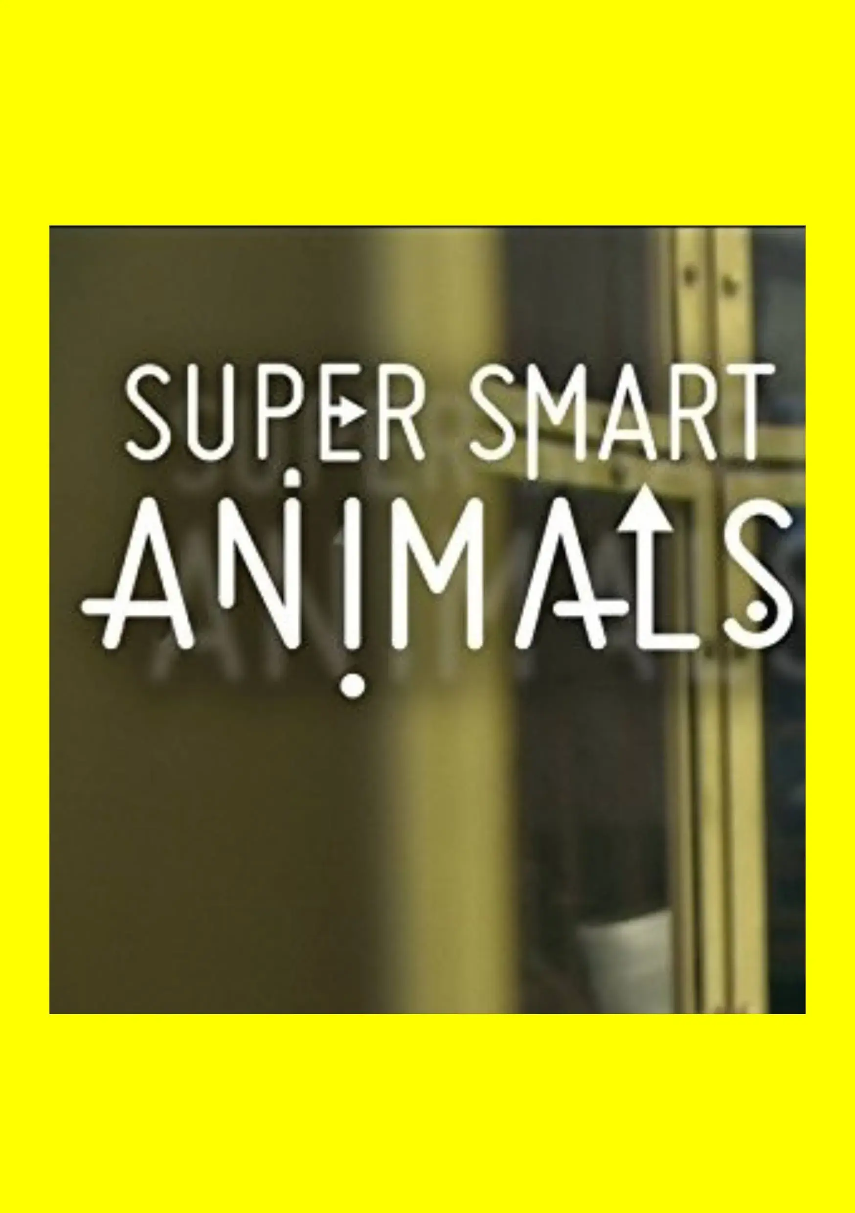 مستند حیوانات باهوش (Super Smart Animals 2012)
