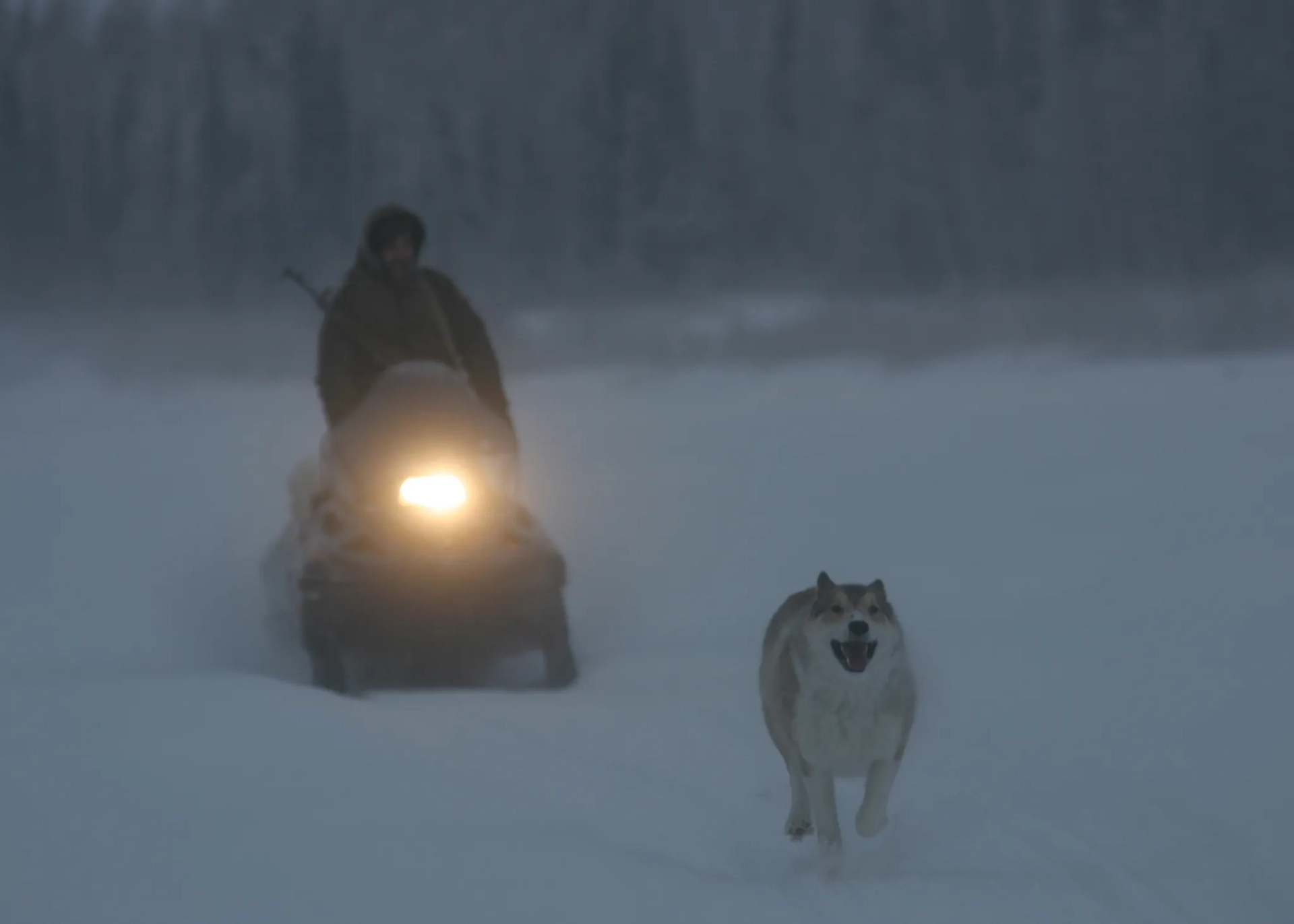 مستند مردمان شادمان: یک سال در تایگا	(Happy People: A Year in the Taiga 2010)