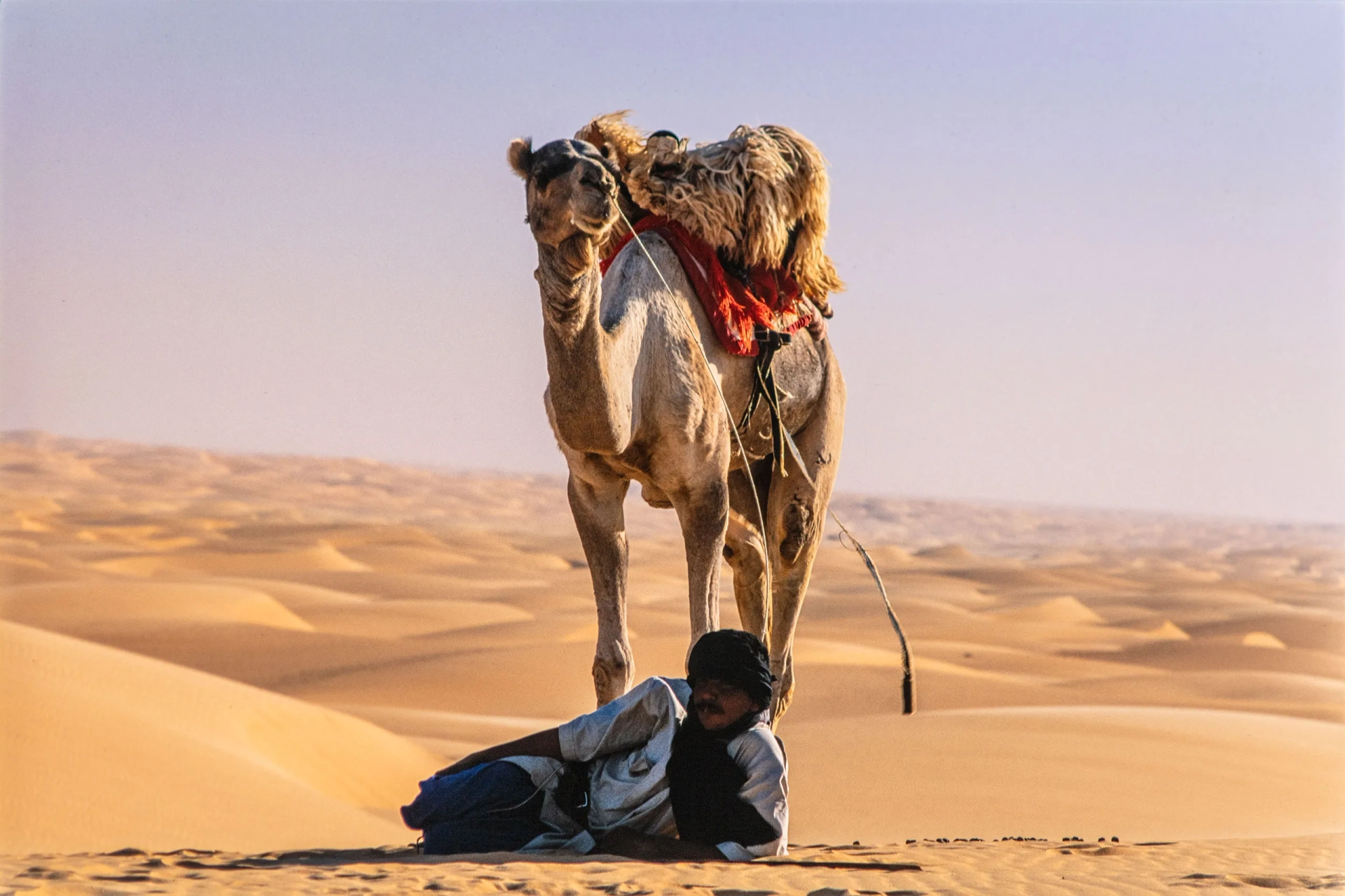 ساهارا با مایکل پیلین