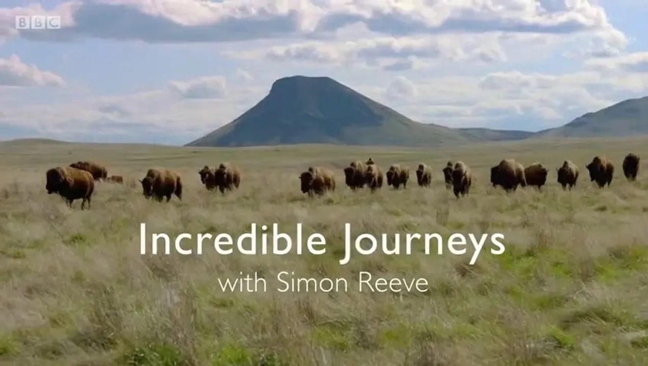 مستند سفرهای باورنکردنی با سایمون ریو	(Incredible Journeys with Simon Reeve  2021)