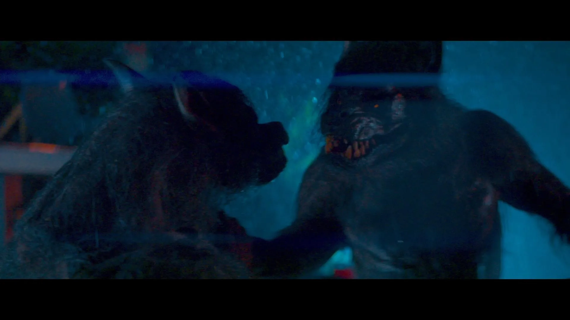 Werewolves (2024)