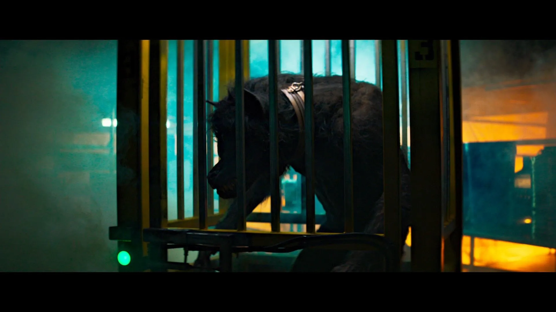 Werewolves (2024)