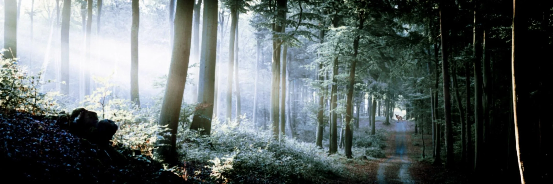 Rhys Frake-Waterfield in Bambi: The Reckoning (2025)