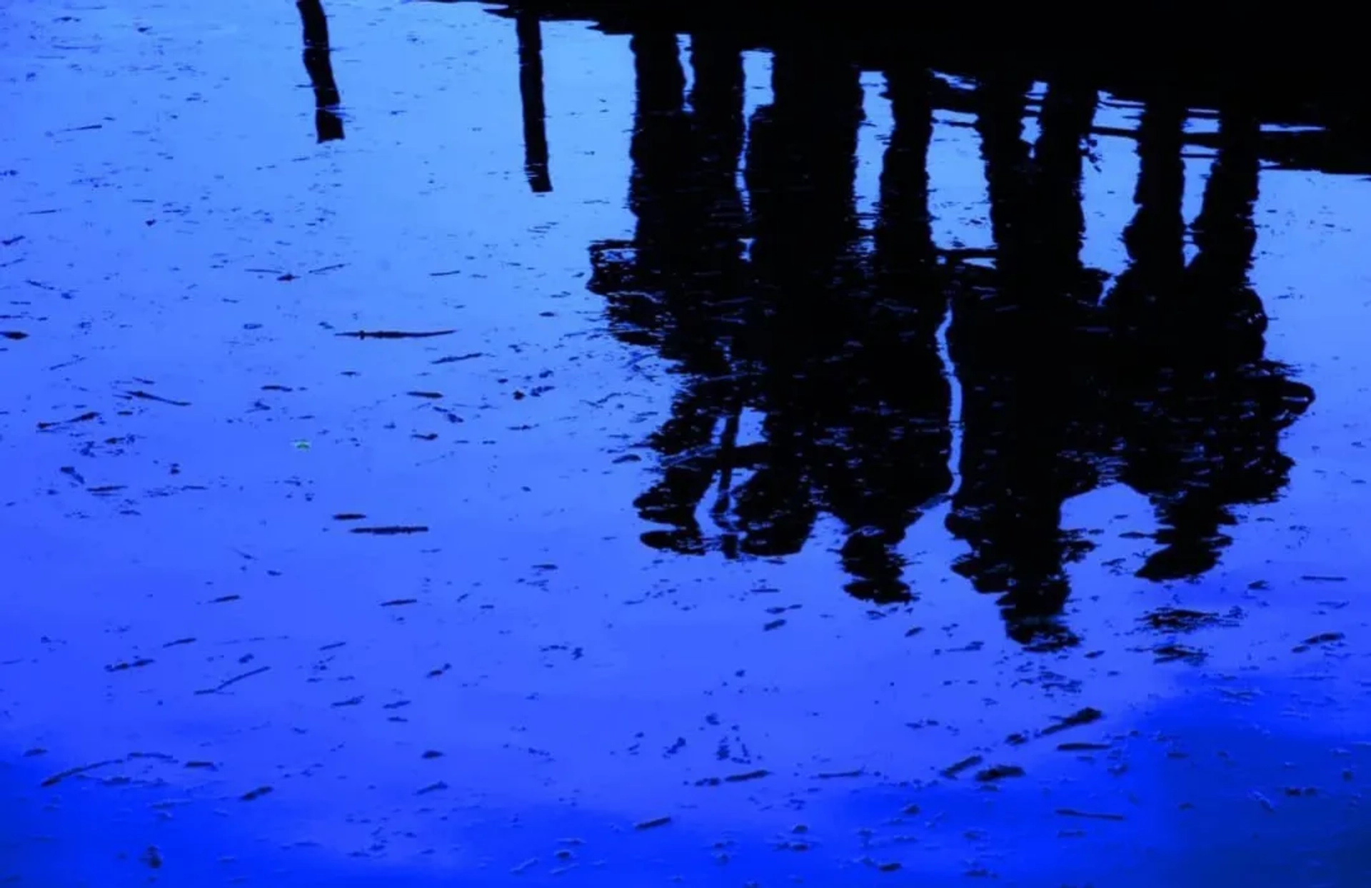 The Last Snow (2023)