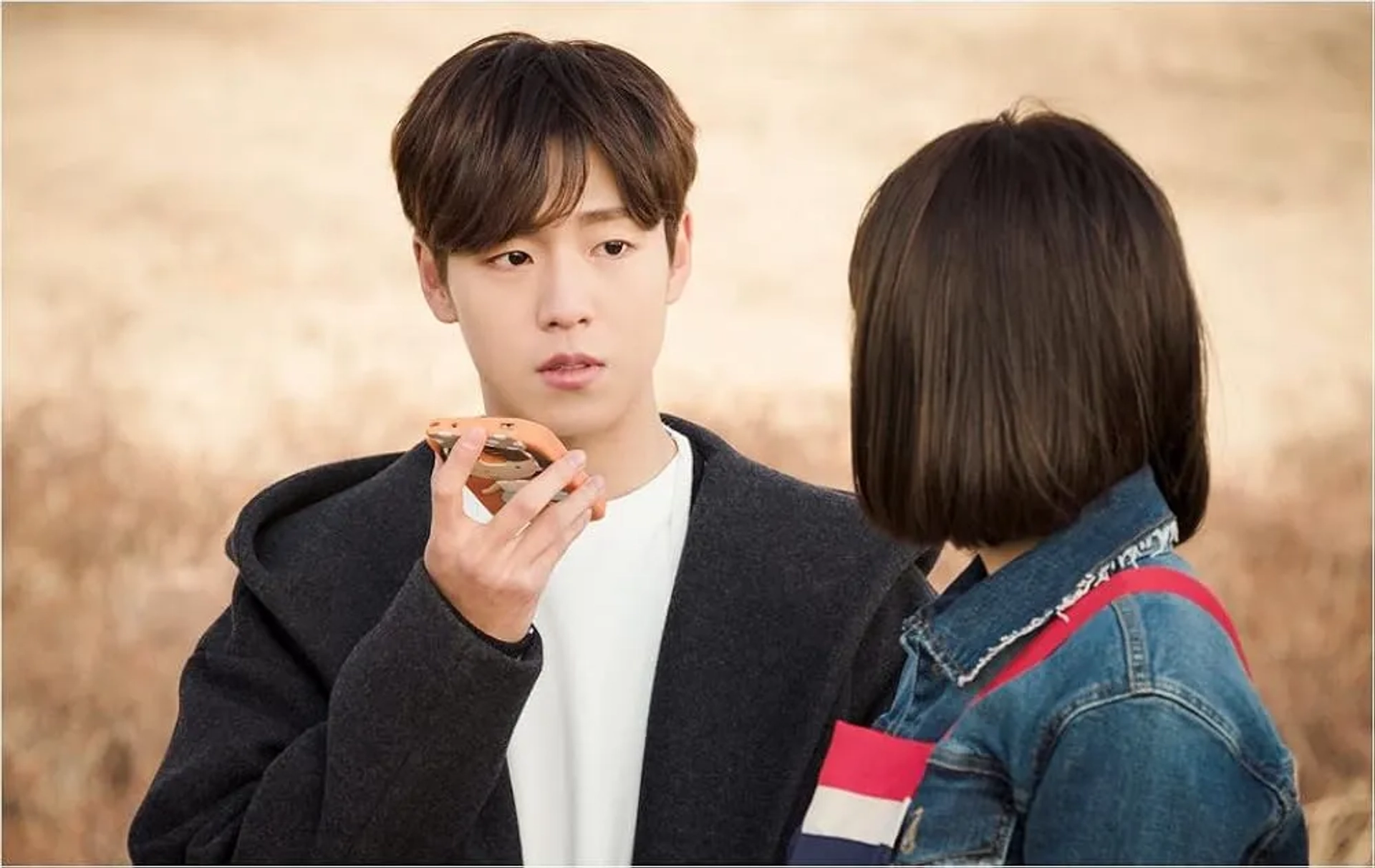 سریال دروغگو و معشوقه اش (The Liar & His Lover 2017)