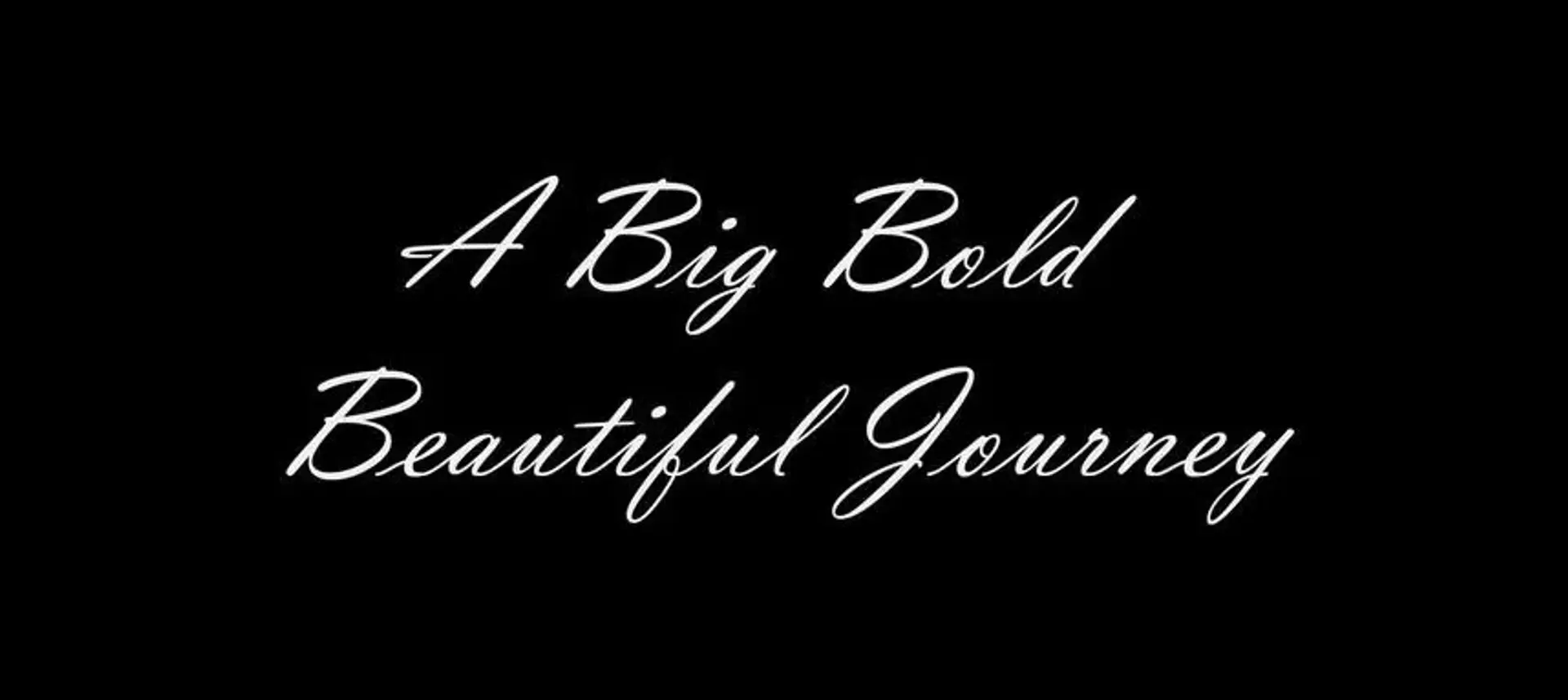 فیلم یک ماجراجویی بزرگ جسورانه زیبا (A Big Bold Beautiful Journey 2025)