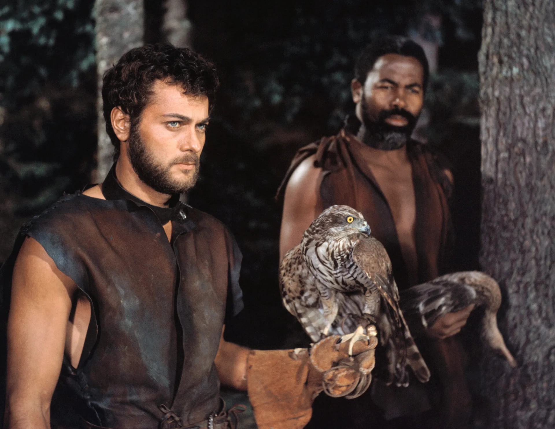 فیلم وایکینگ ها (The Vikings 1958)