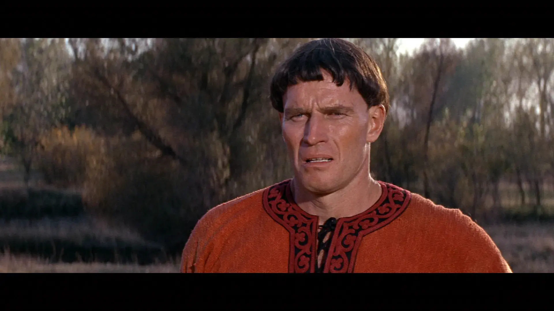 فیلم سردار جنگ (The War Lord 1965)