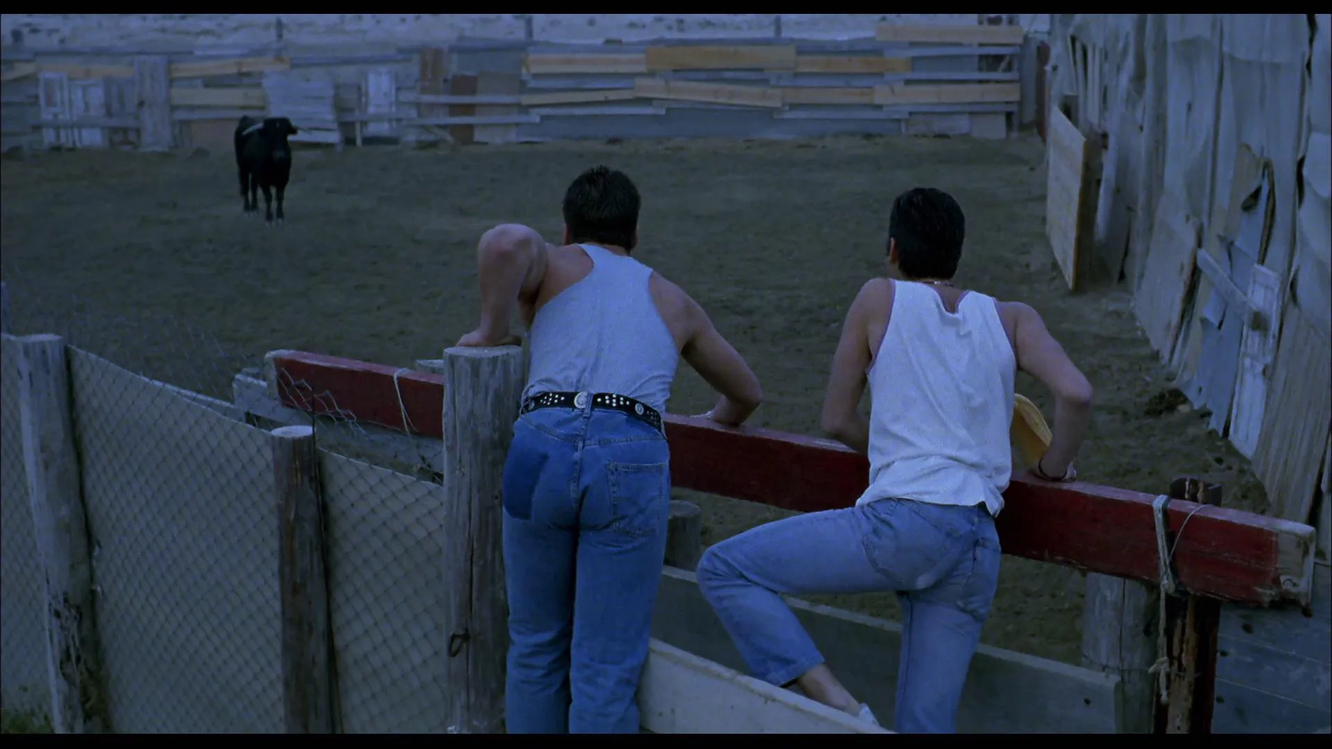 Javier Bardem and Tomás Martín in Jamón, Jamón (1992)