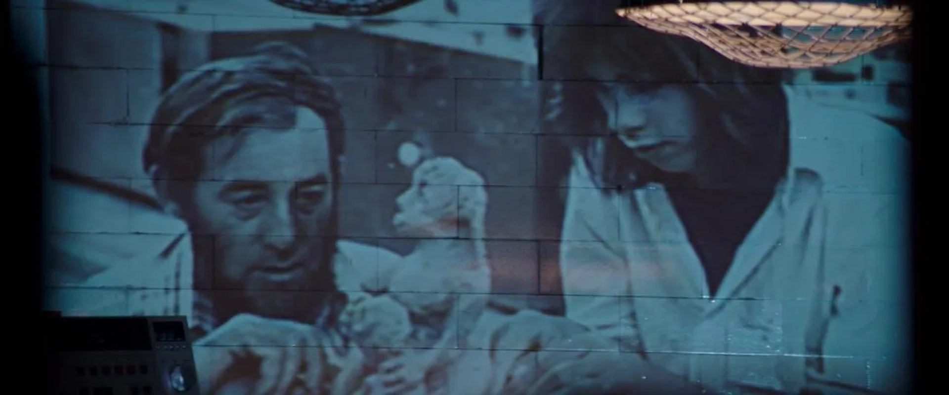 20,000 Days on Earth (2014)