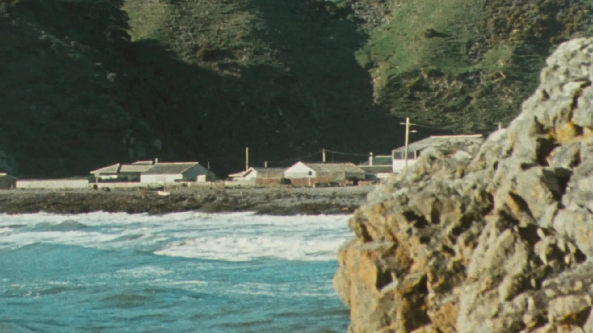 Bad Taste (1987)