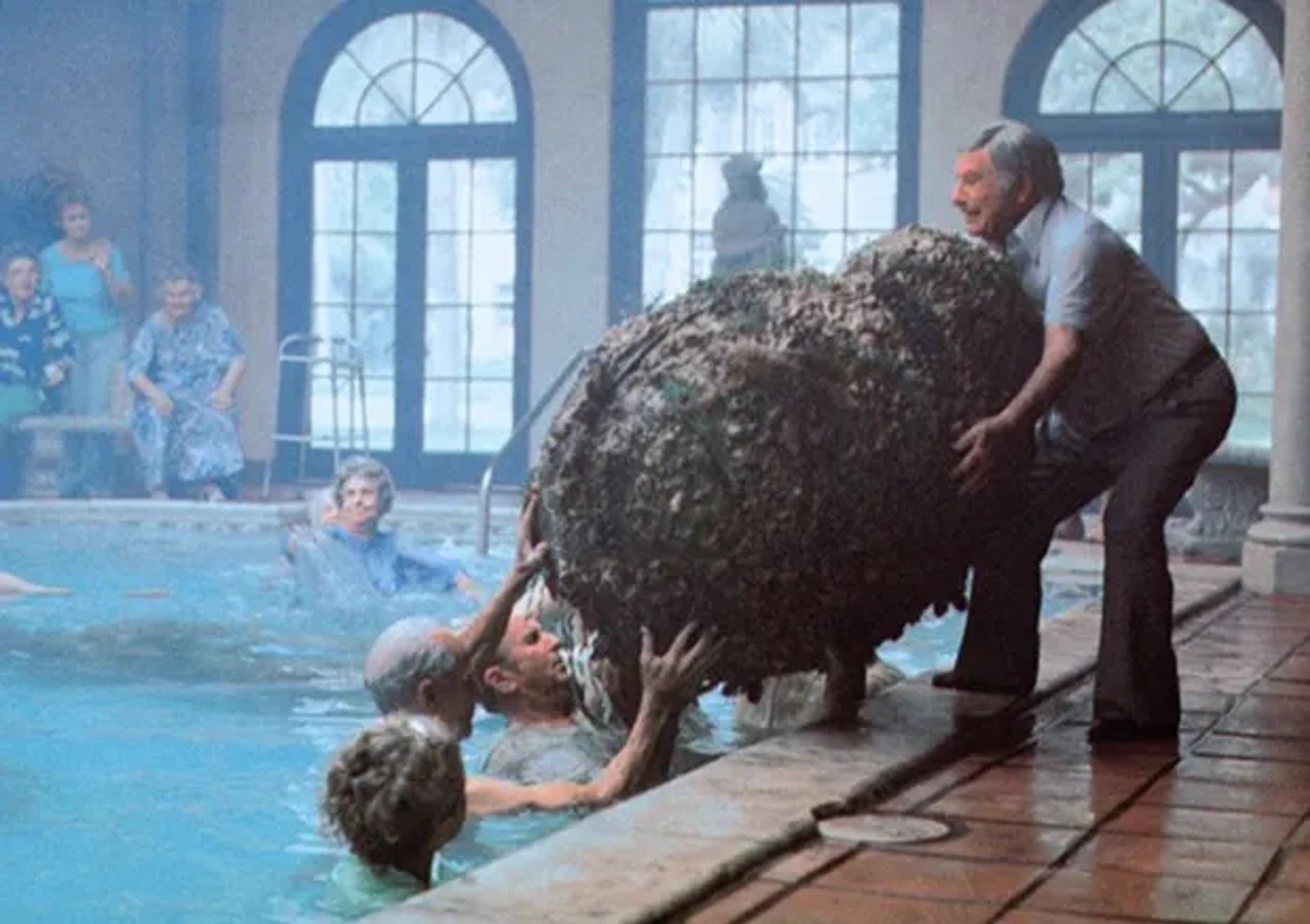 Cocoon (1985)