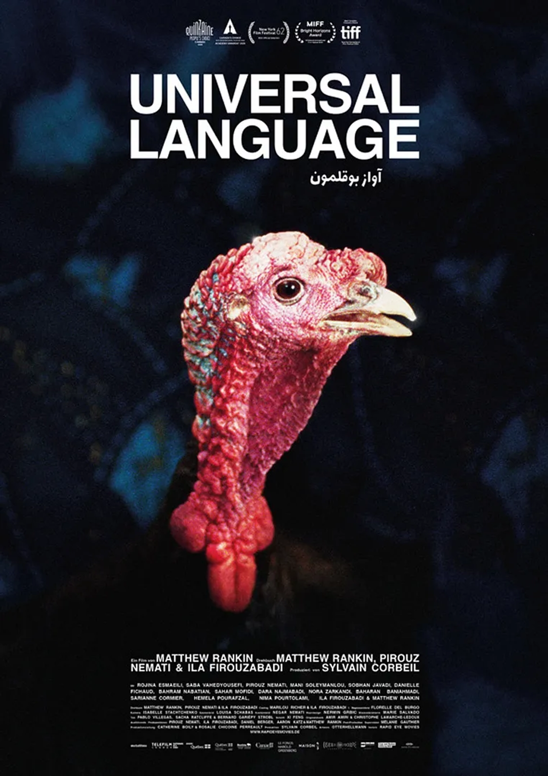 Universal Language (2024)