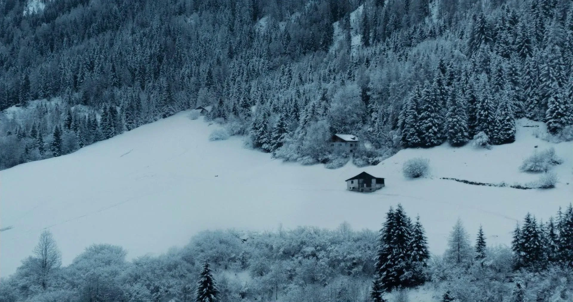 Vermiglio (2024)