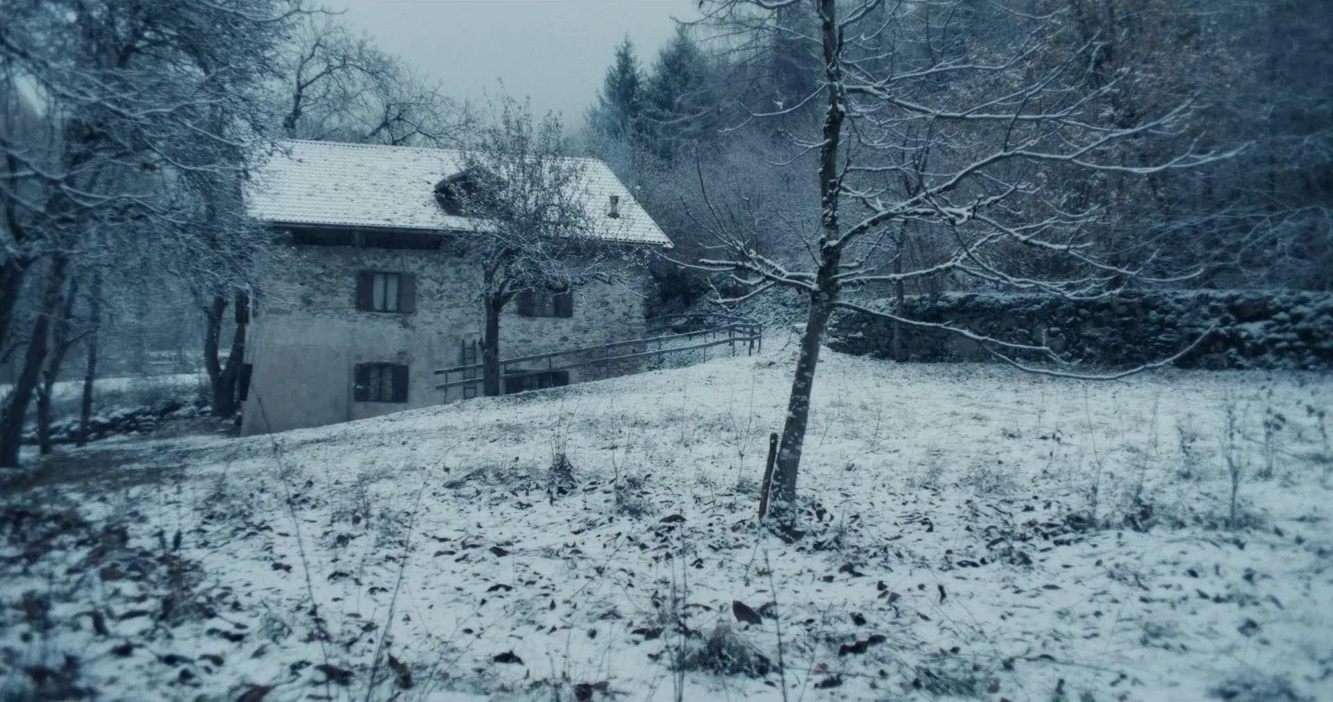 Vermiglio (2024)