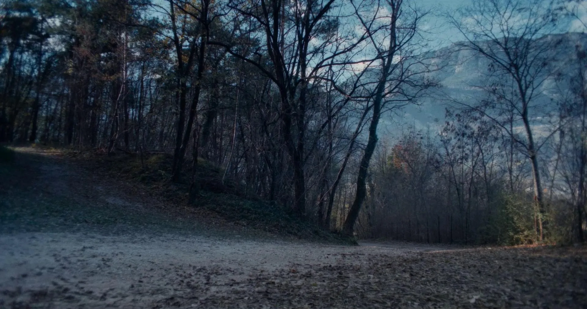 Vermiglio (2024)