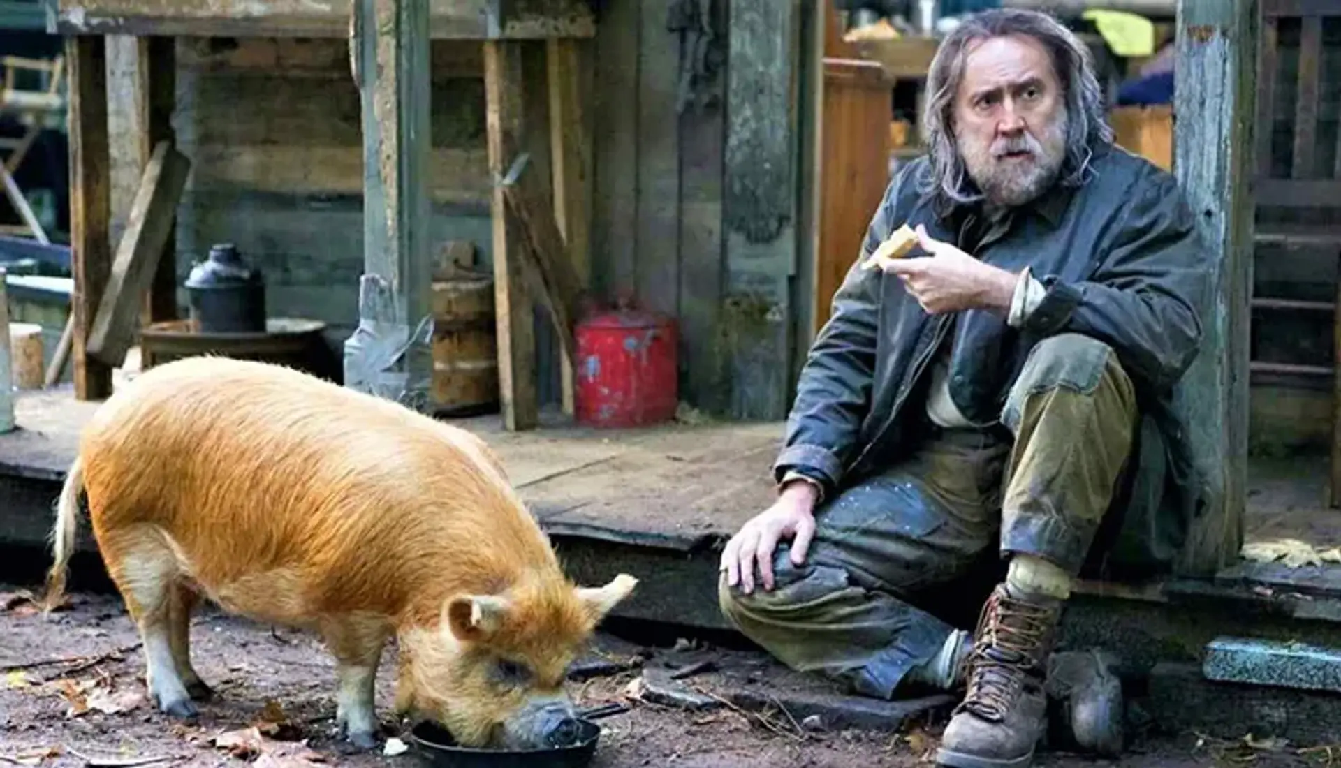 دانلود فیلم خوک (Pig 2021)