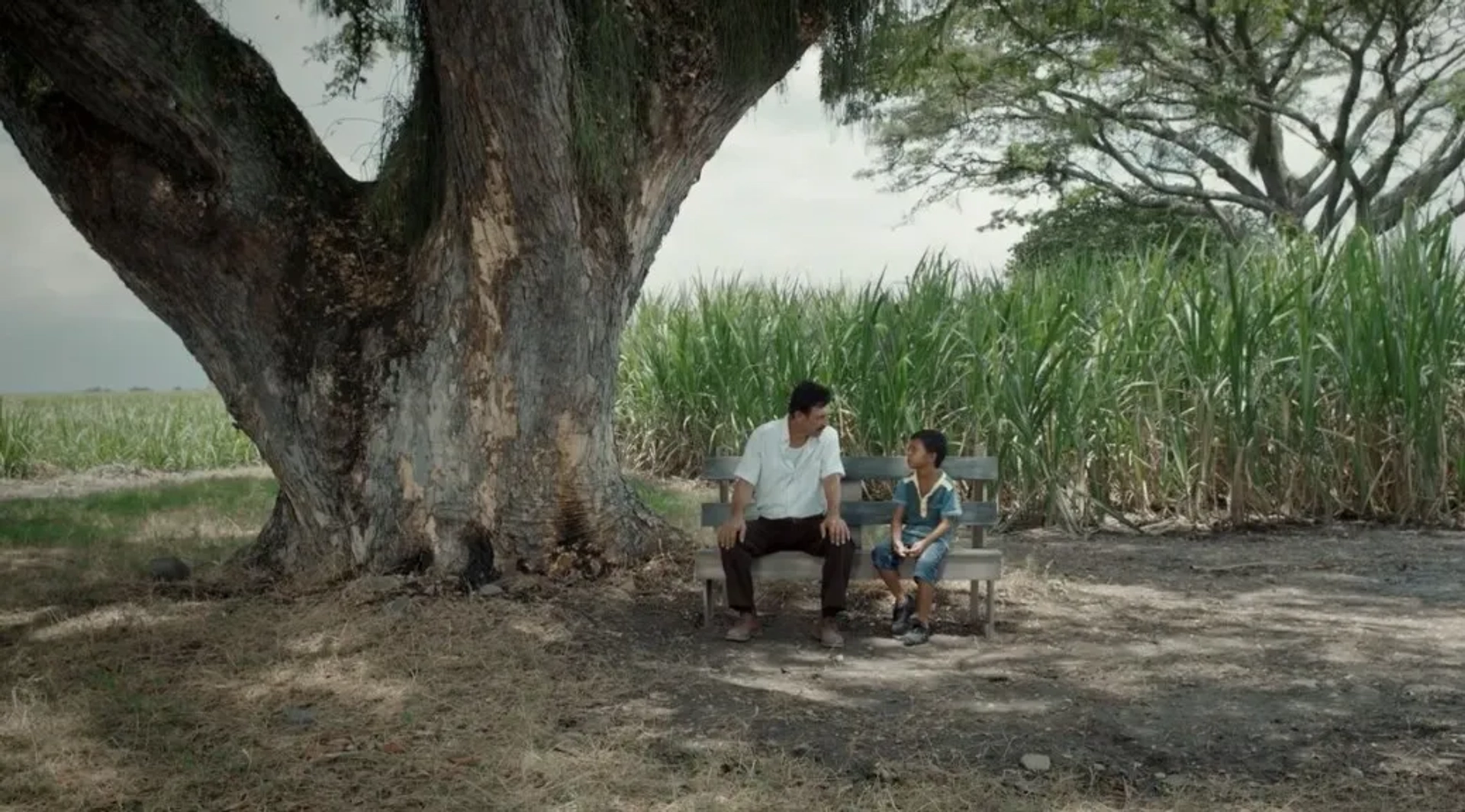 Haimer Leal and José Felipe Cárdenas in Land and Shade (2015)