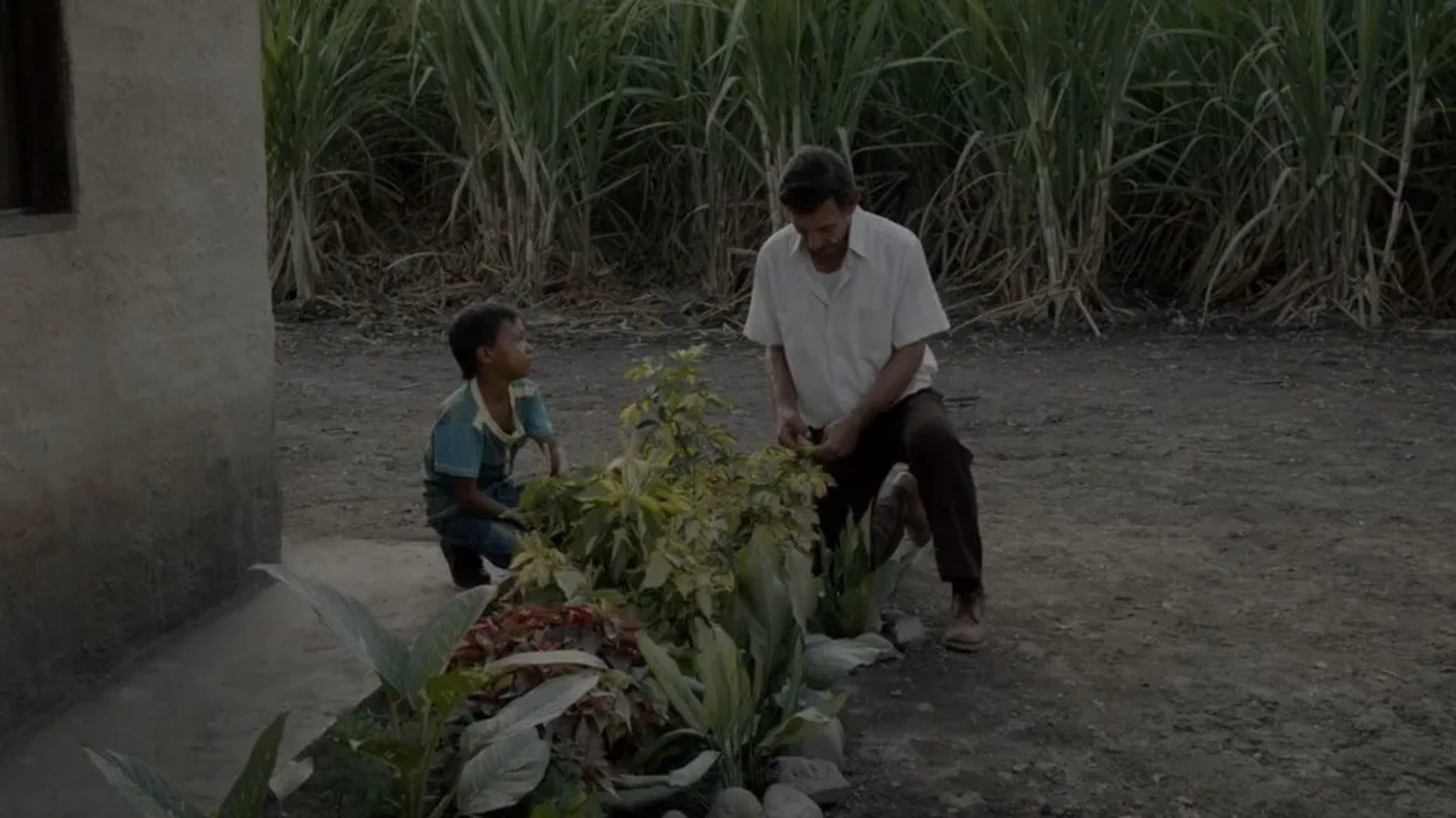 Haimer Leal and José Felipe Cárdenas in Land and Shade (2015)