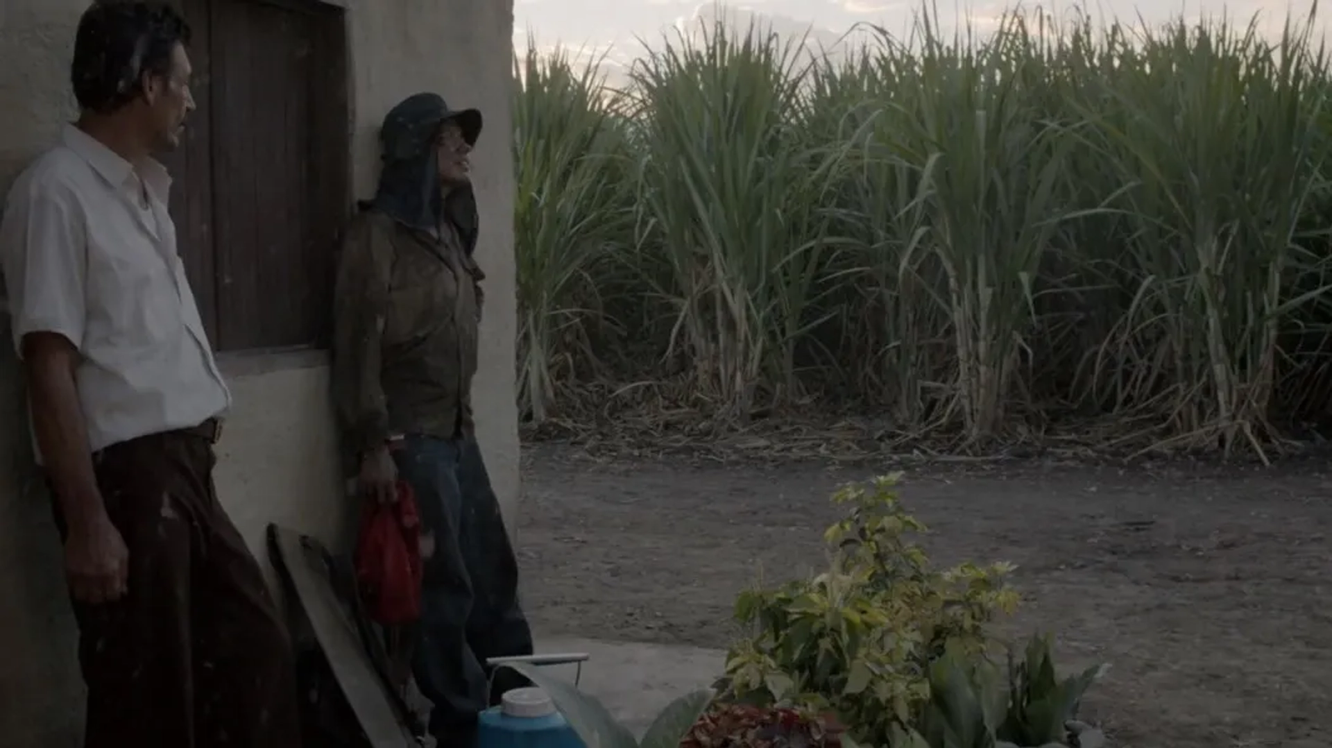 Marleyda Soto and Haimer Leal in Land and Shade (2015)