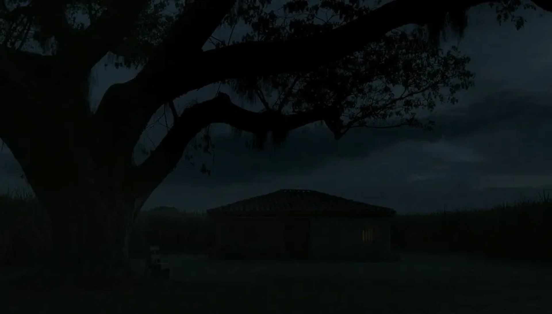 Land and Shade (2015)