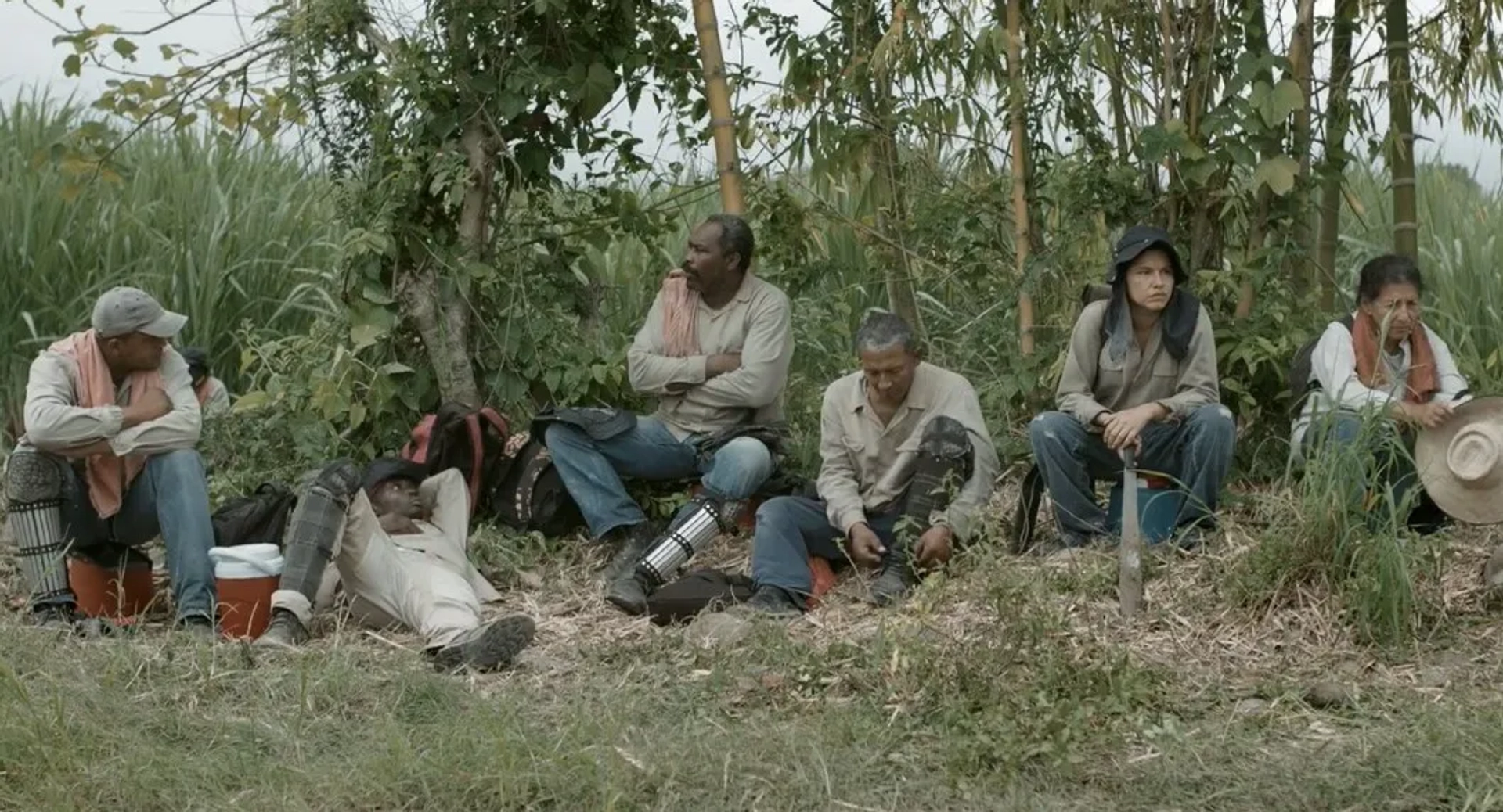 Marleyda Soto and Hilda Ruiz in Land and Shade (2015)