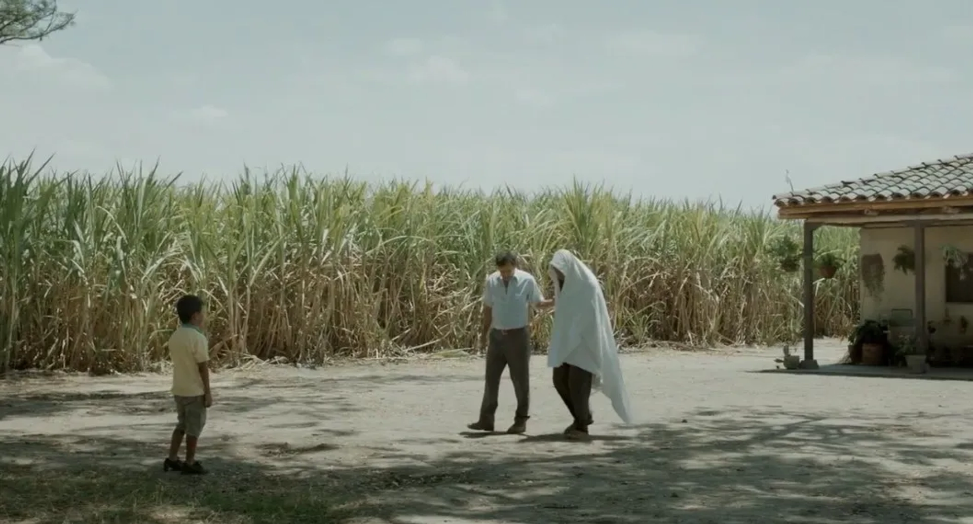 Haimer Leal, Edison Raigosa, and José Felipe Cárdenas in Land and Shade (2015)