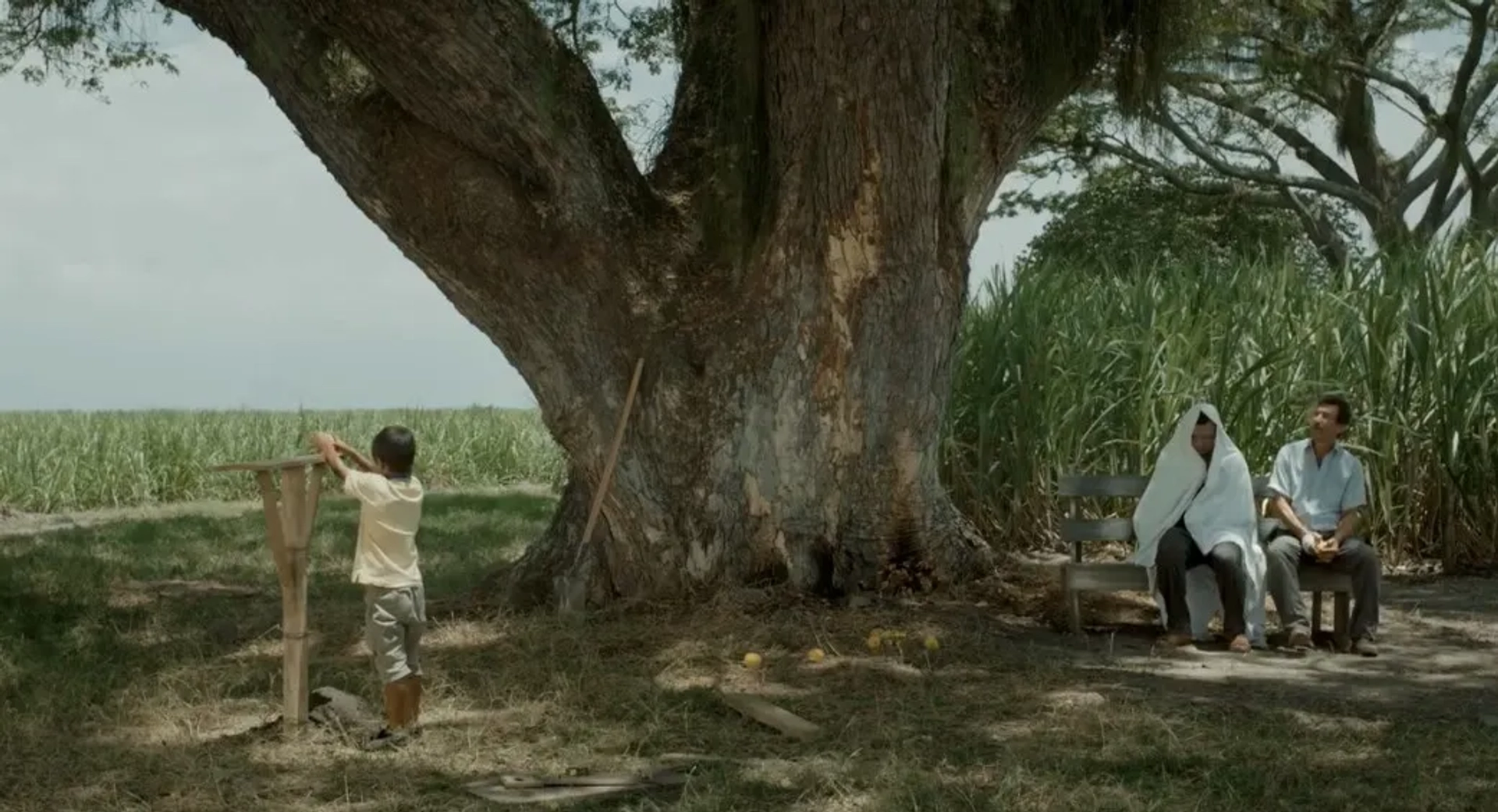 Haimer Leal, Edison Raigosa, and José Felipe Cárdenas in Land and Shade (2015)