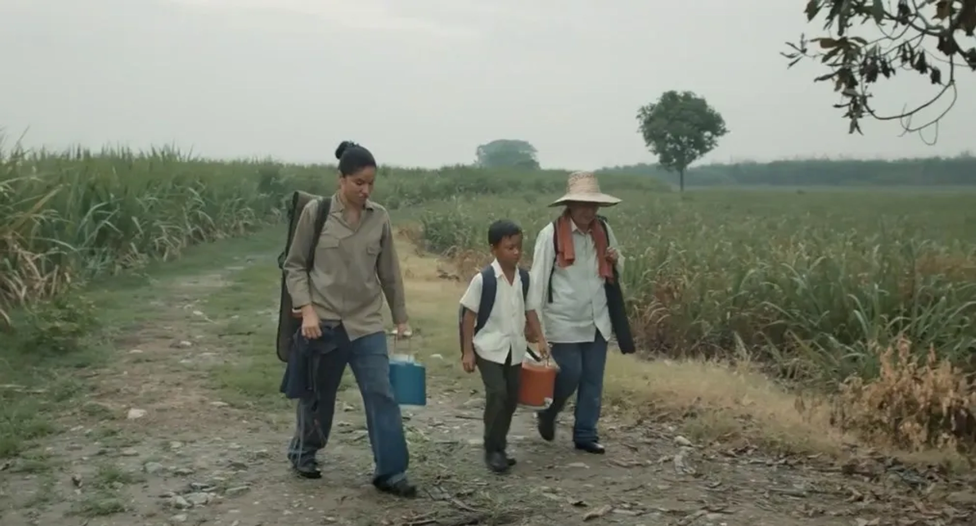 Marleyda Soto, Hilda Ruiz, and José Felipe Cárdenas in Land and Shade (2015)