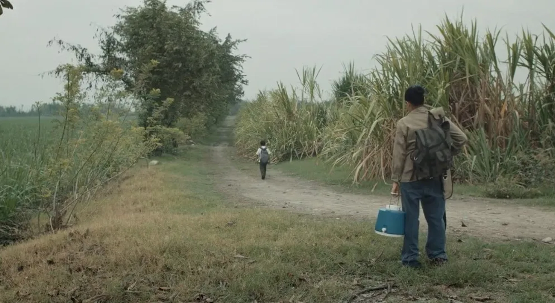 Marleyda Soto and José Felipe Cárdenas in Land and Shade (2015)